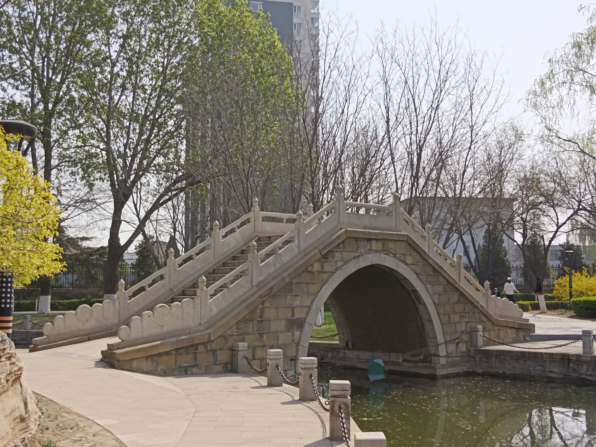 西苑公园旅行图片