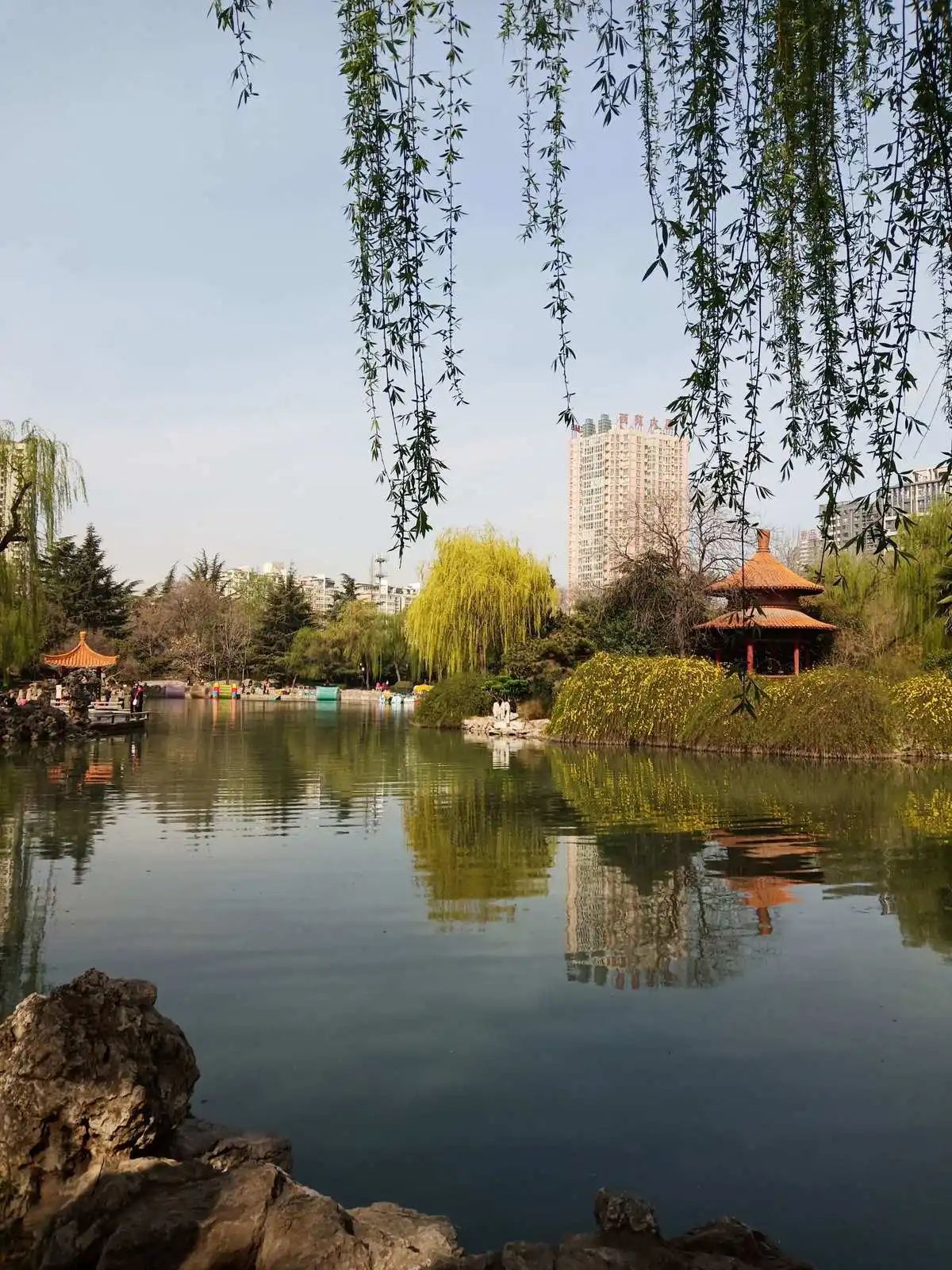西苑公园旅行图片