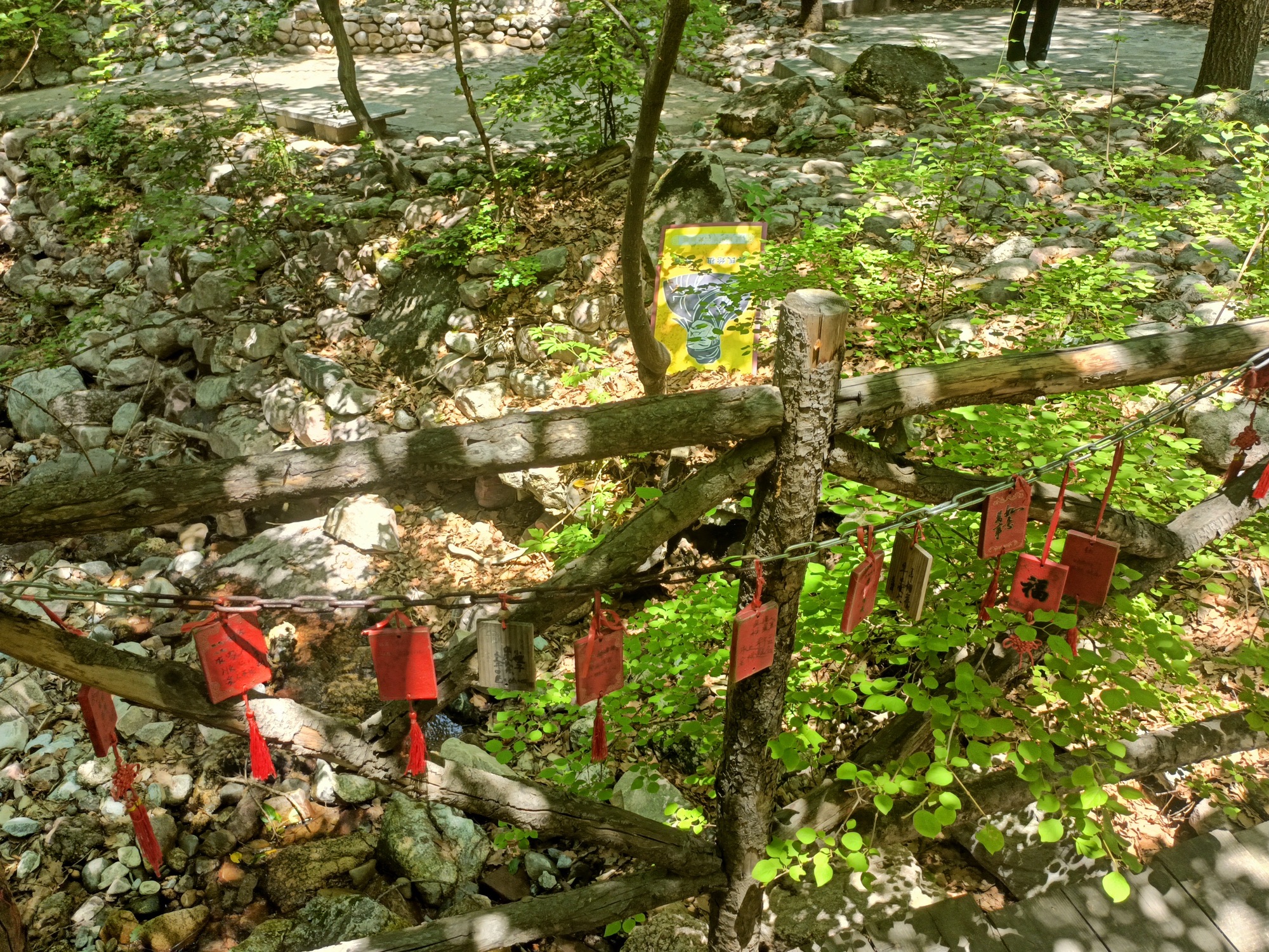 红崖峡谷景区旅行图片