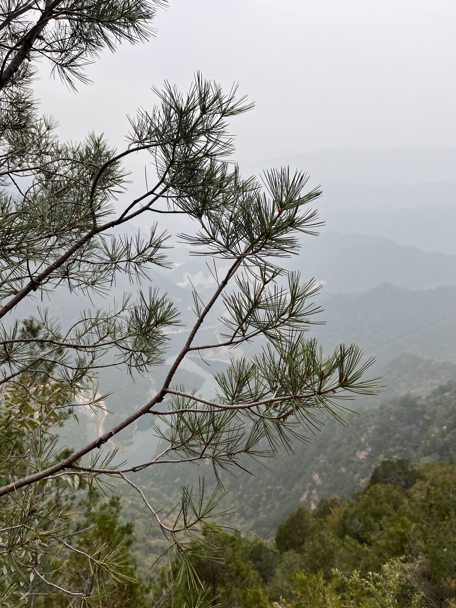 石膏山风景名胜区旅行图片