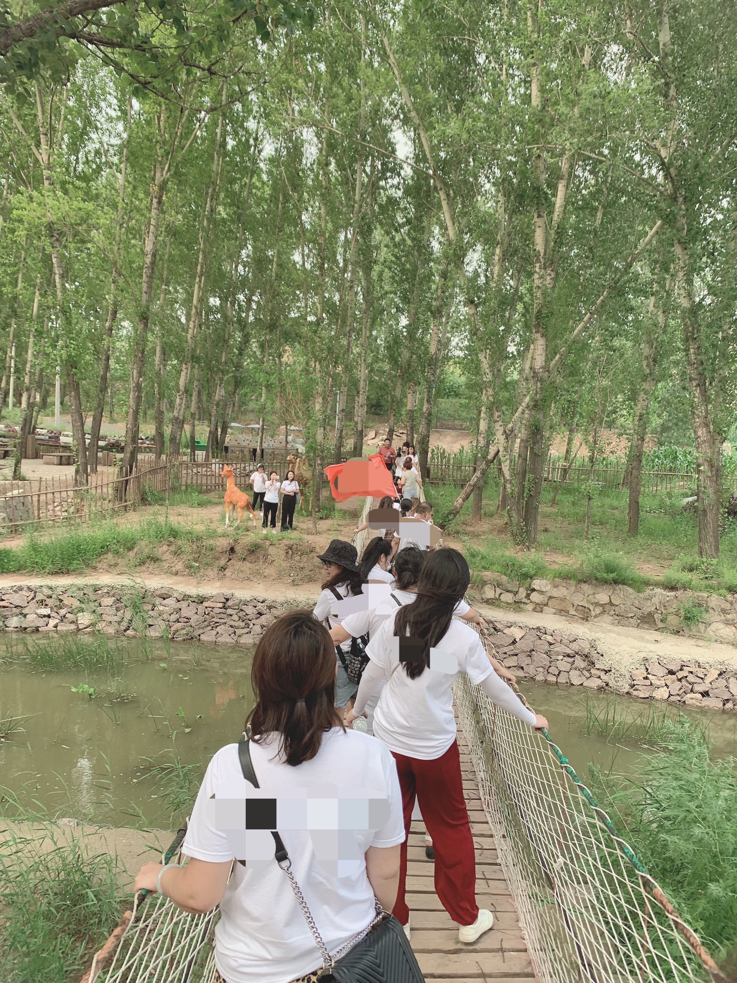 龙栖湖景区旅行图片