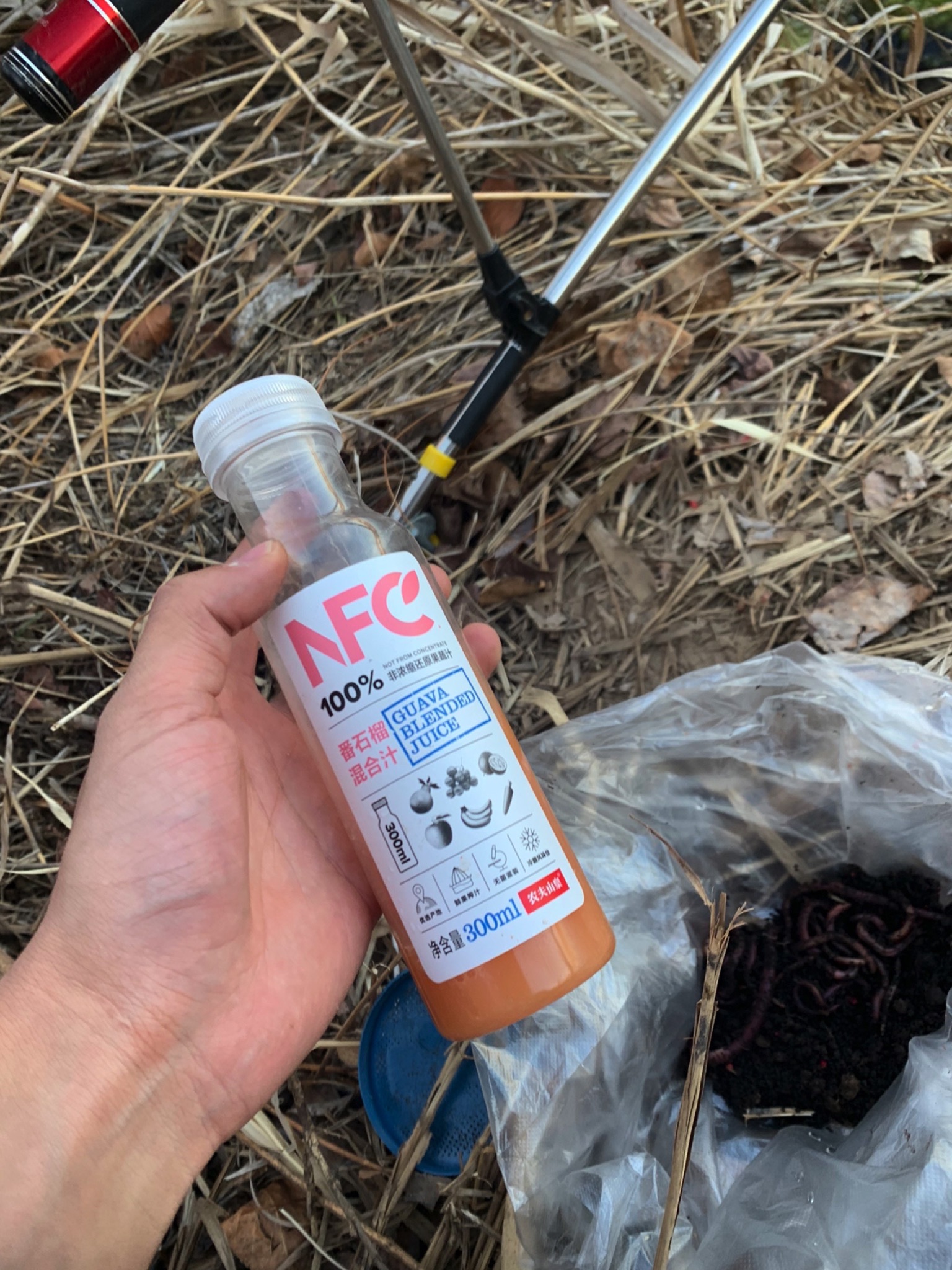 西湖