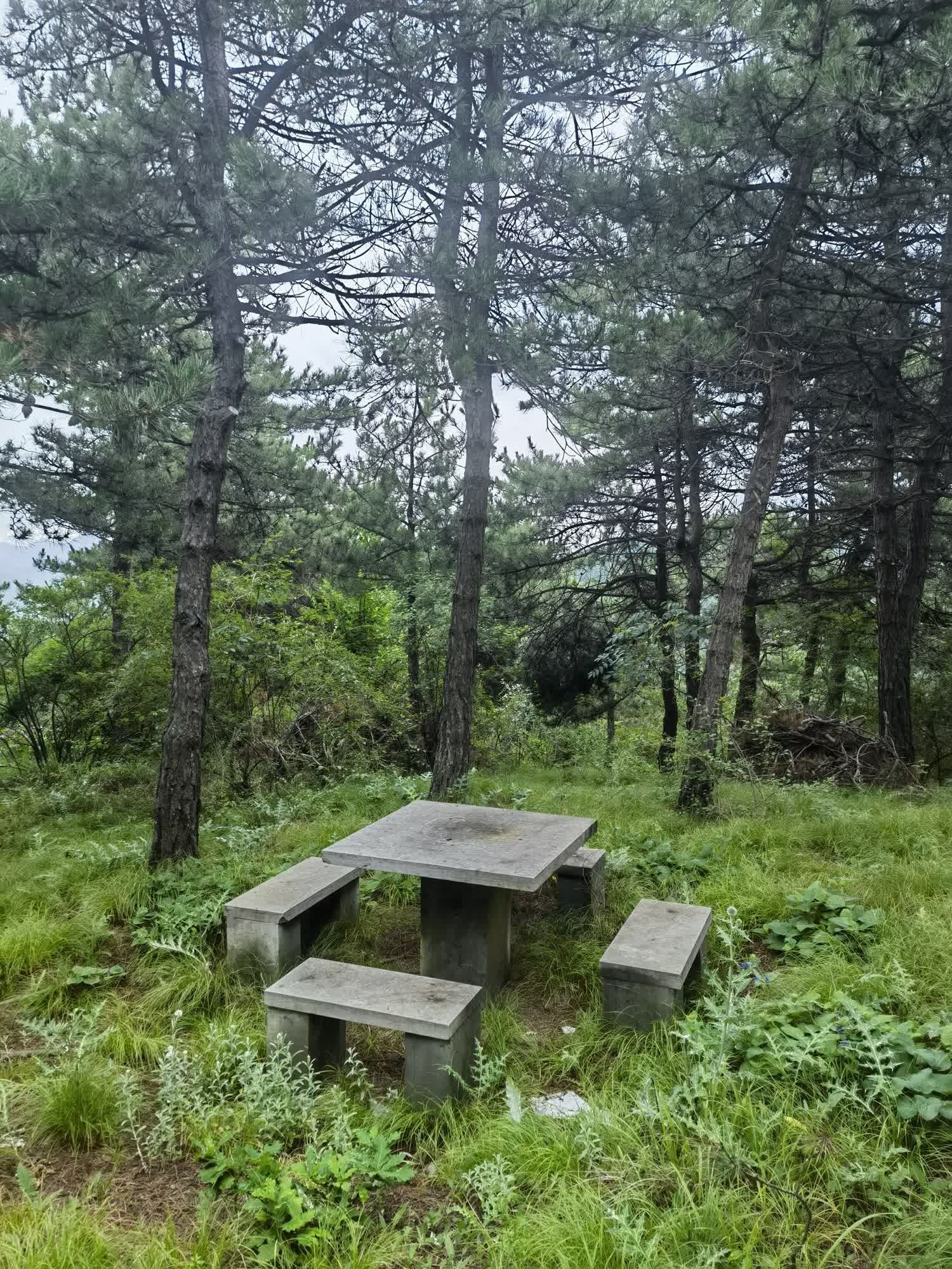 棋子山国家森林公园旅行图片