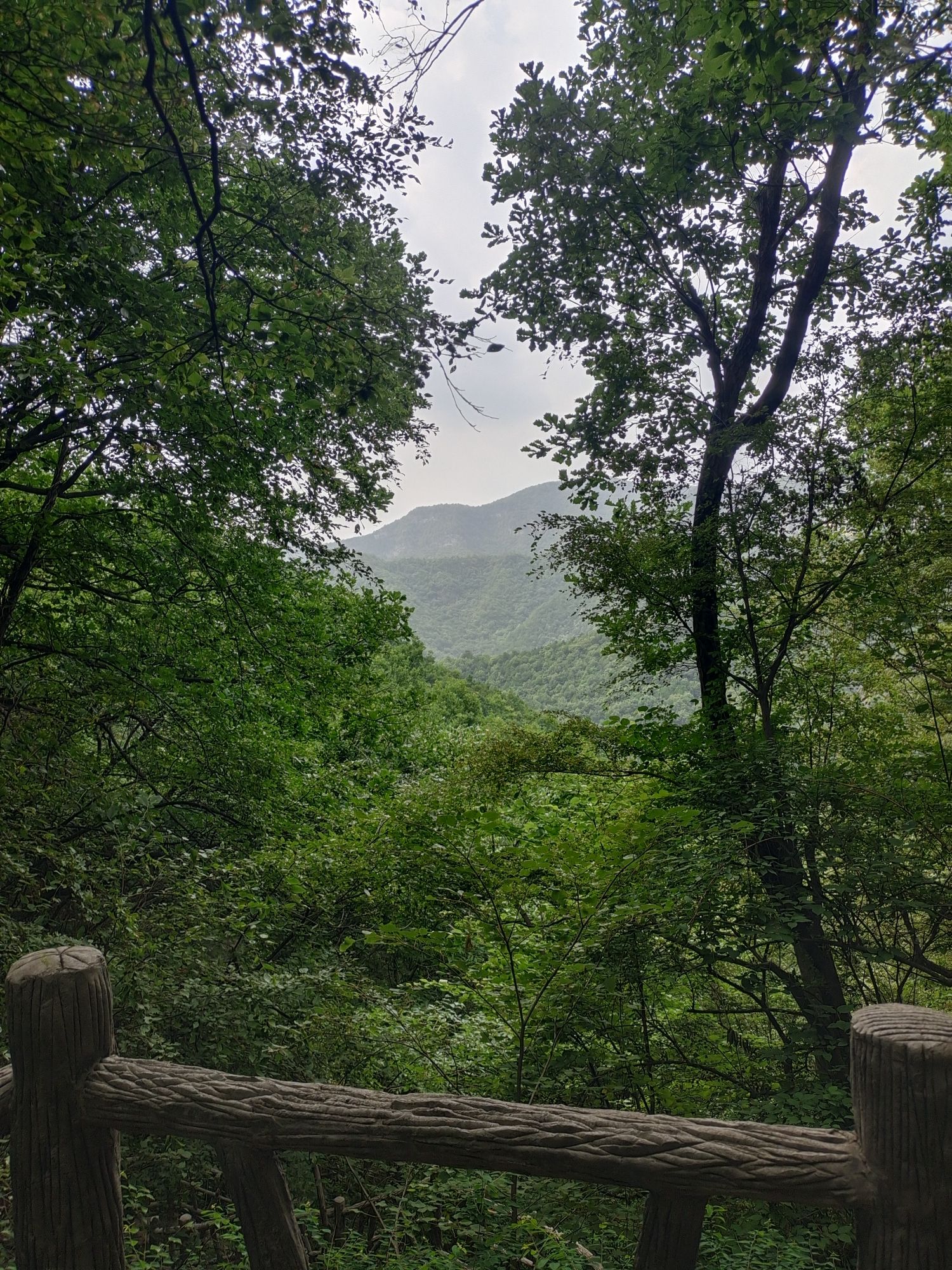 黄围山景区