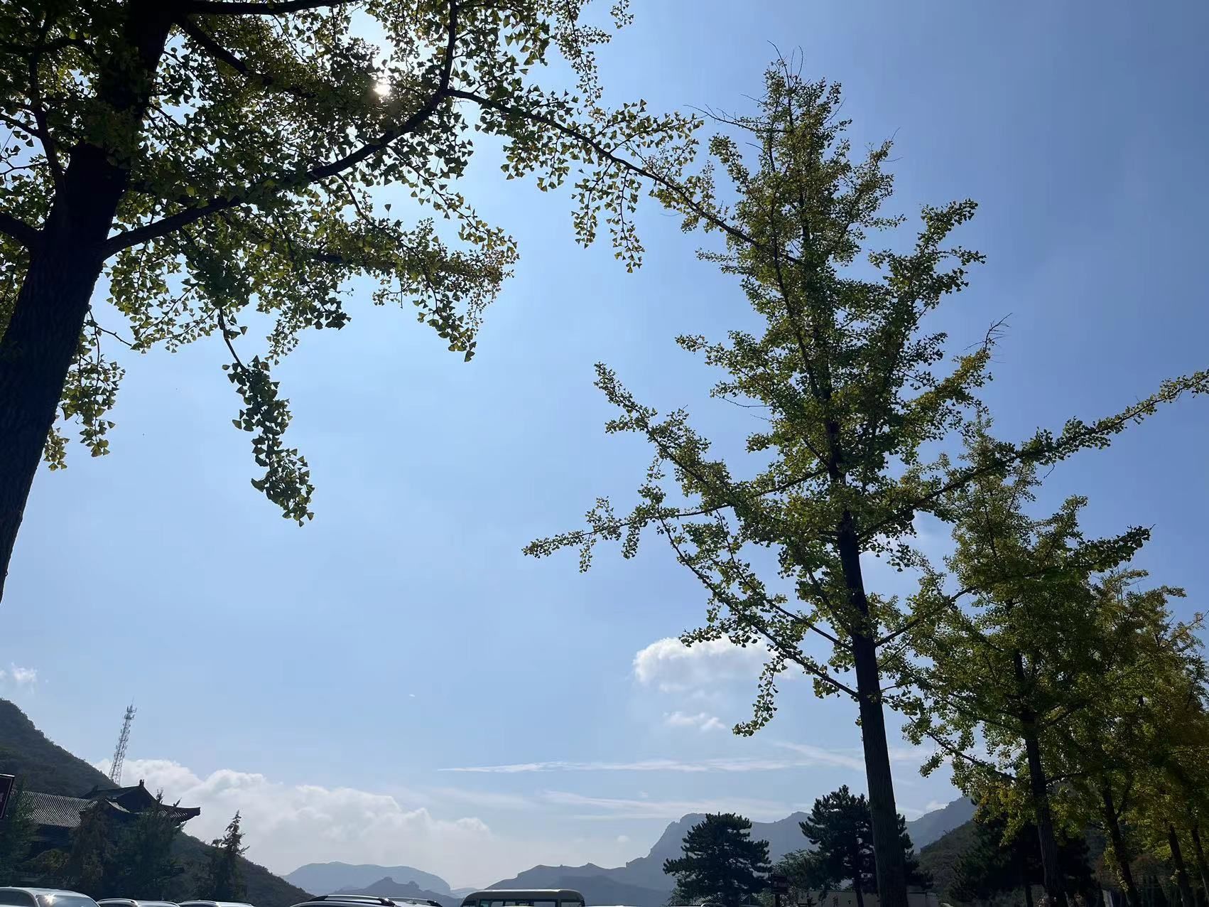 珏山青莲寺景区旅行图片