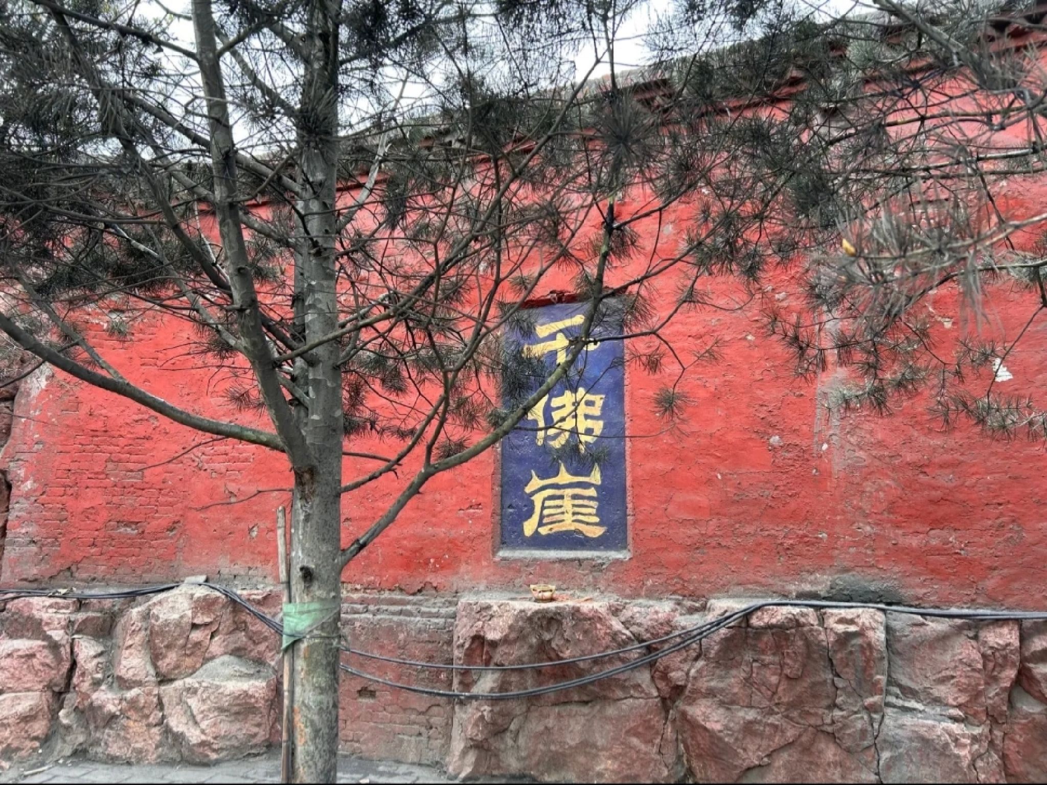 千佛崖旅行图片