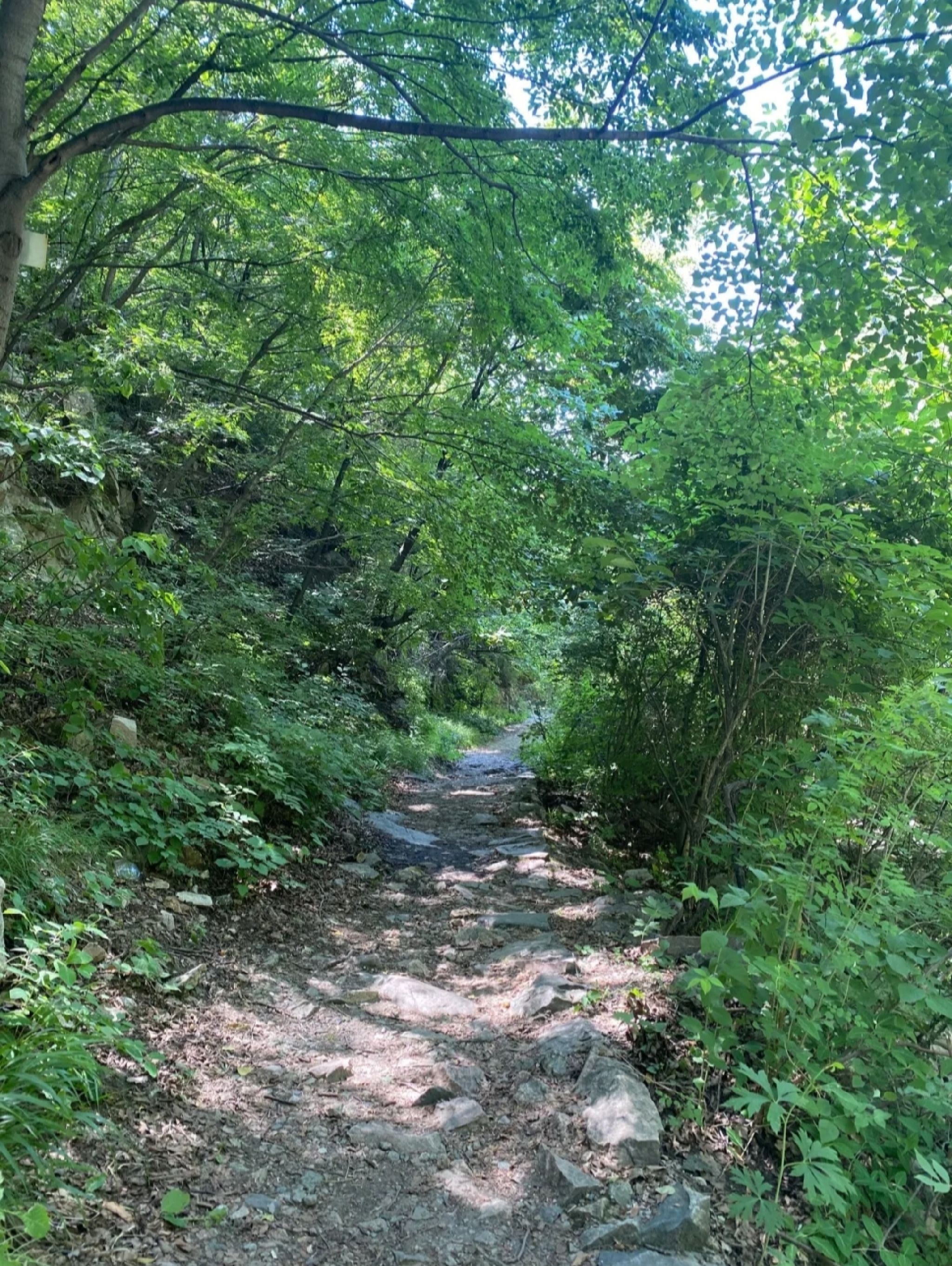 陶唐峪景区旅行图片
