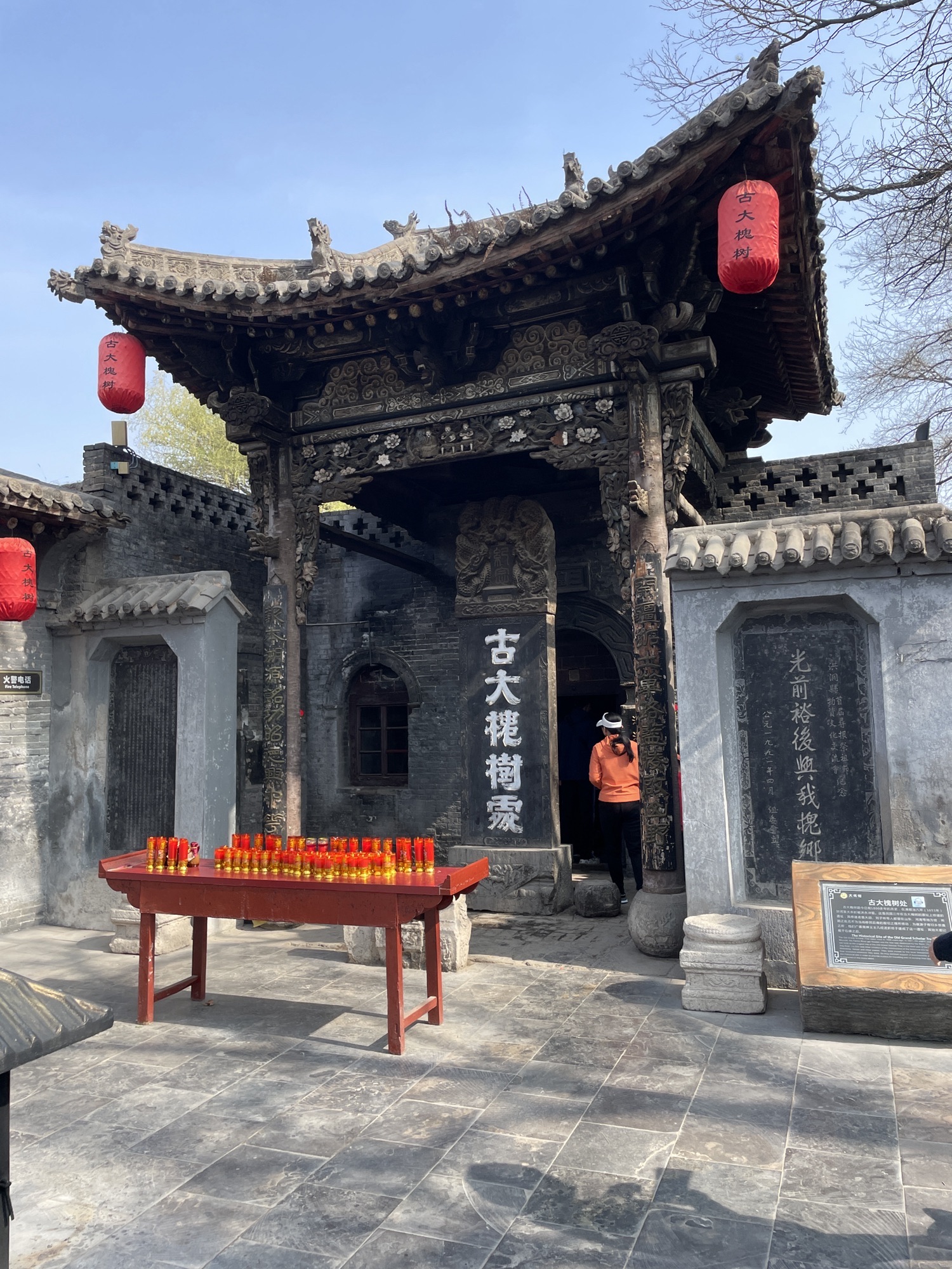 洪洞大槐树寻根祭祖园旅行图片