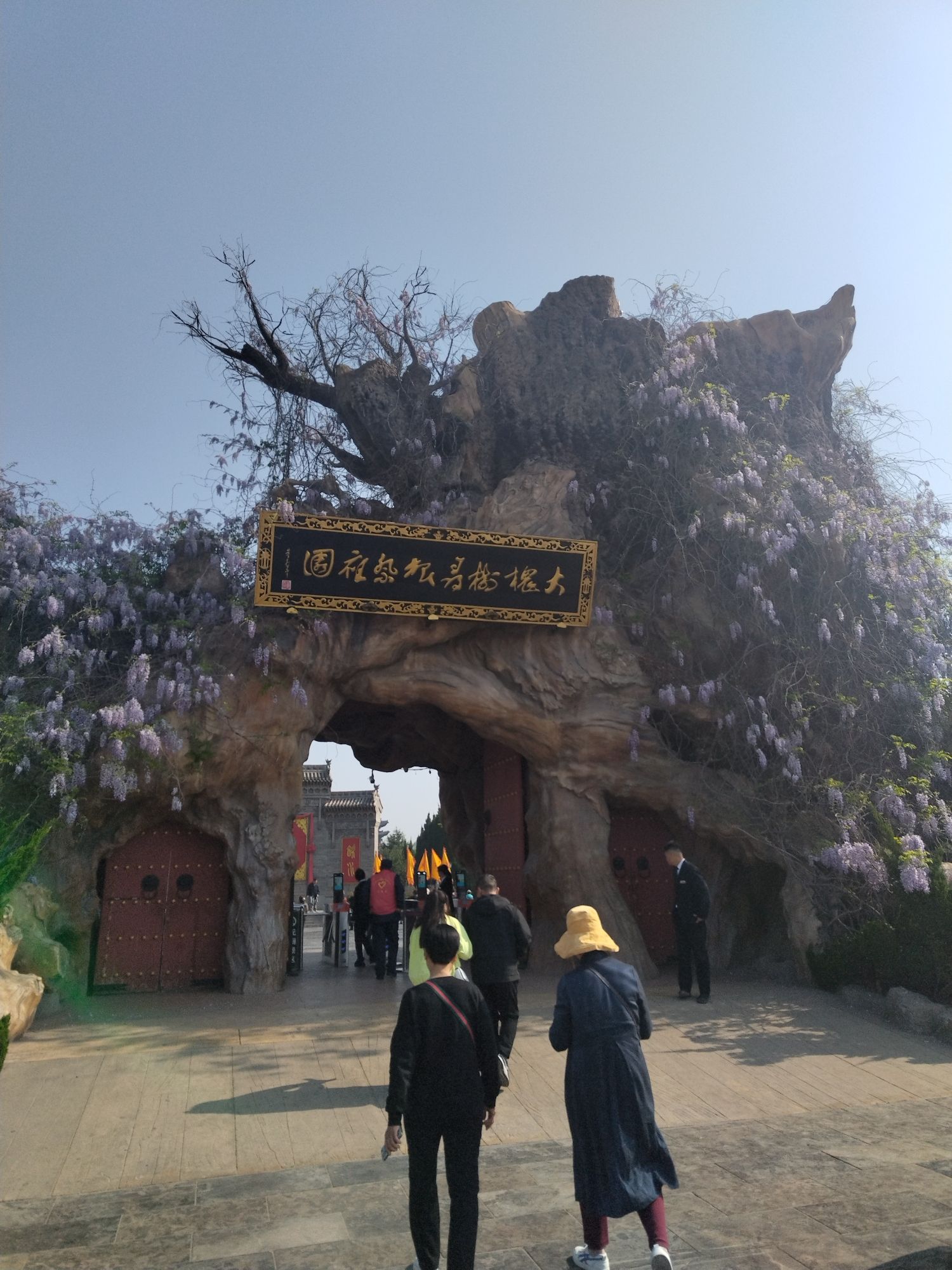 洪洞大槐树寻根祭祖园旅行图片