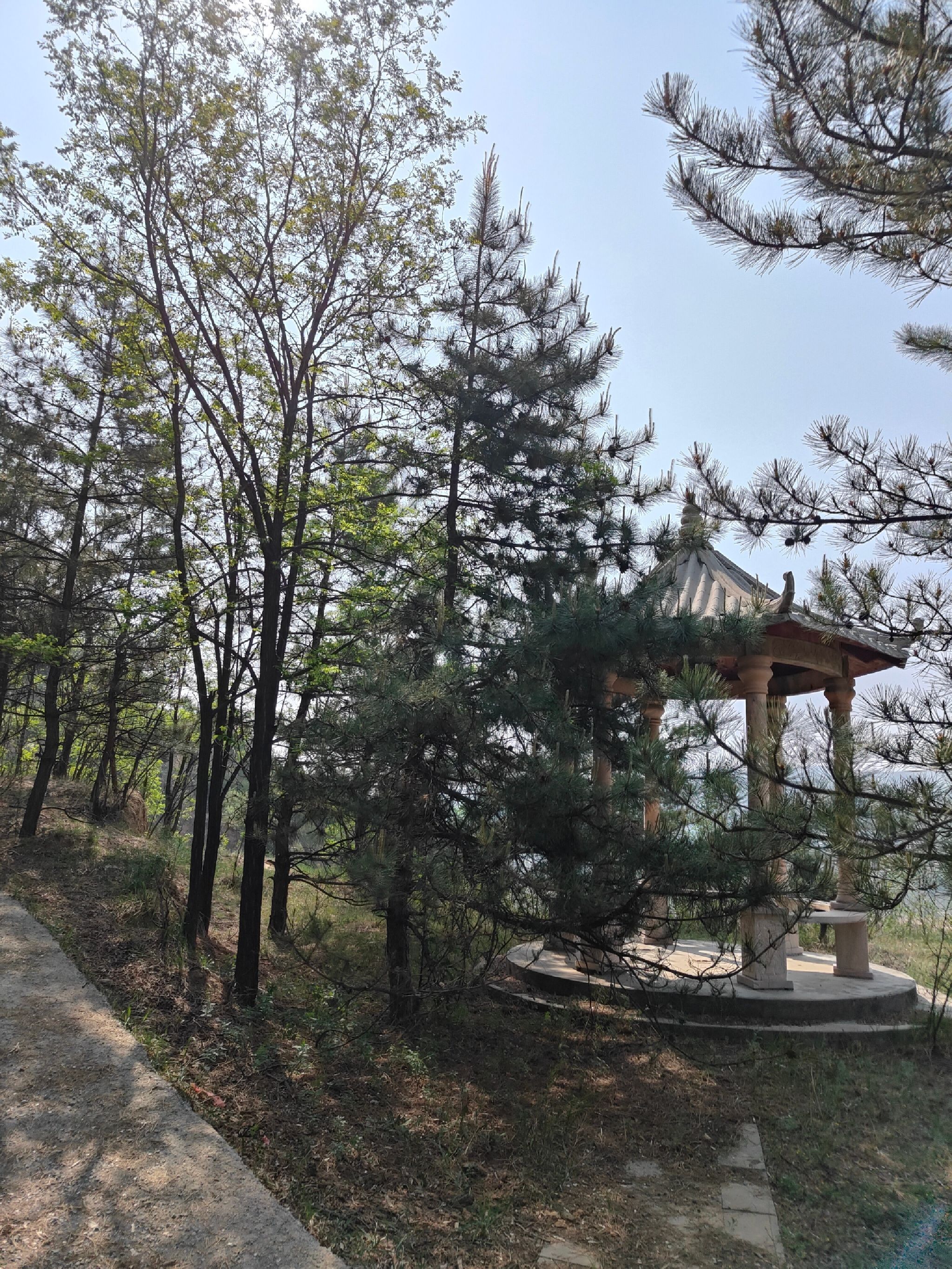 生态公园旅行图片
