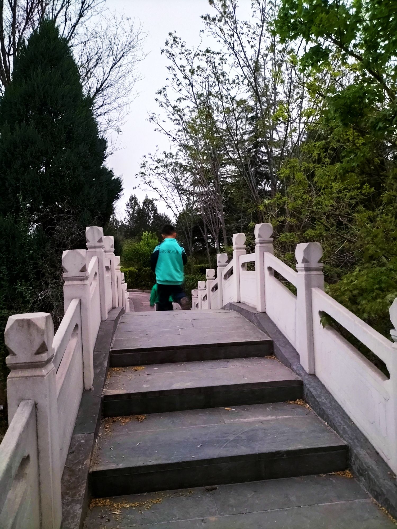 东岭森林公园旅行图片