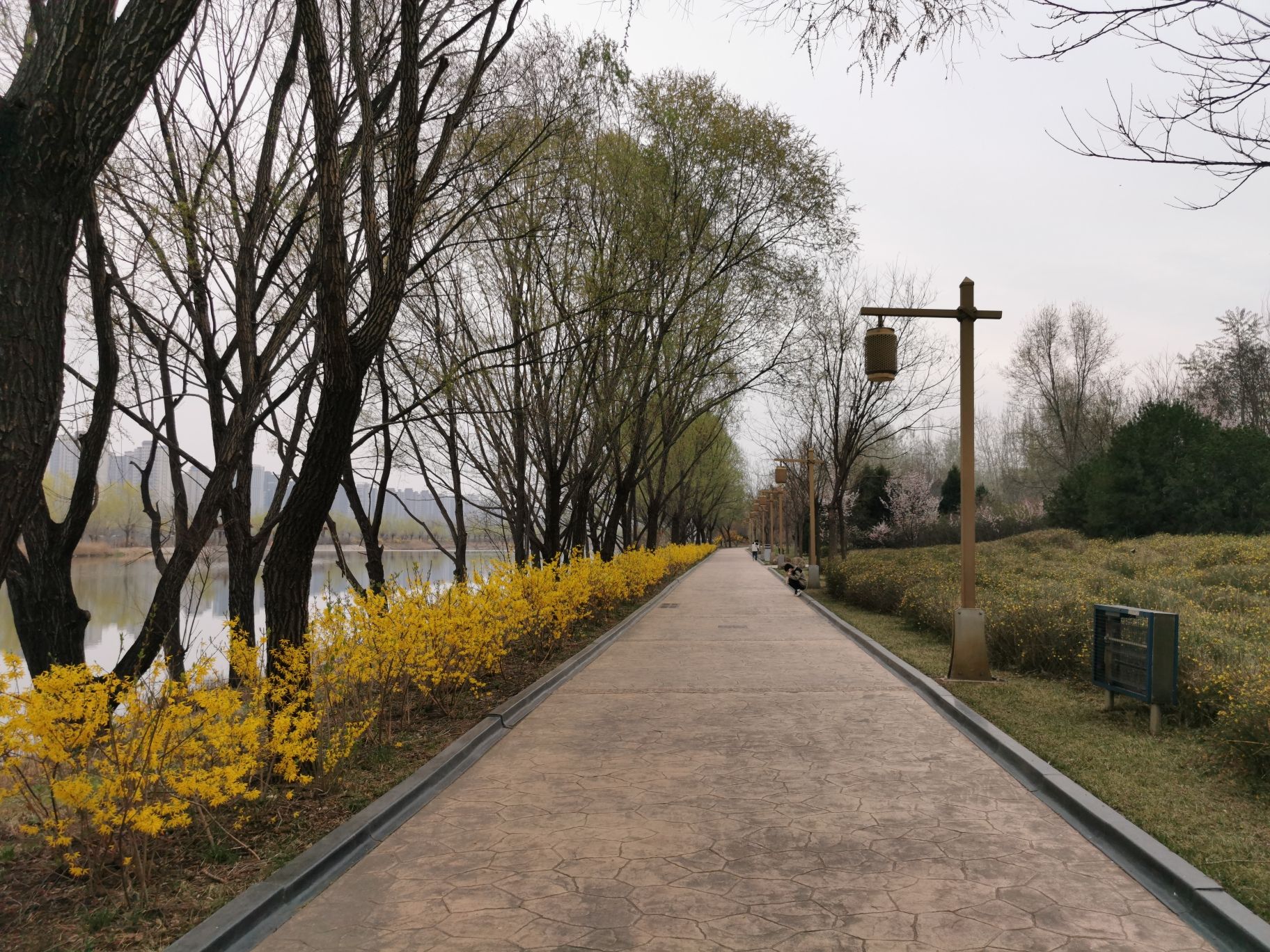 汾河公园