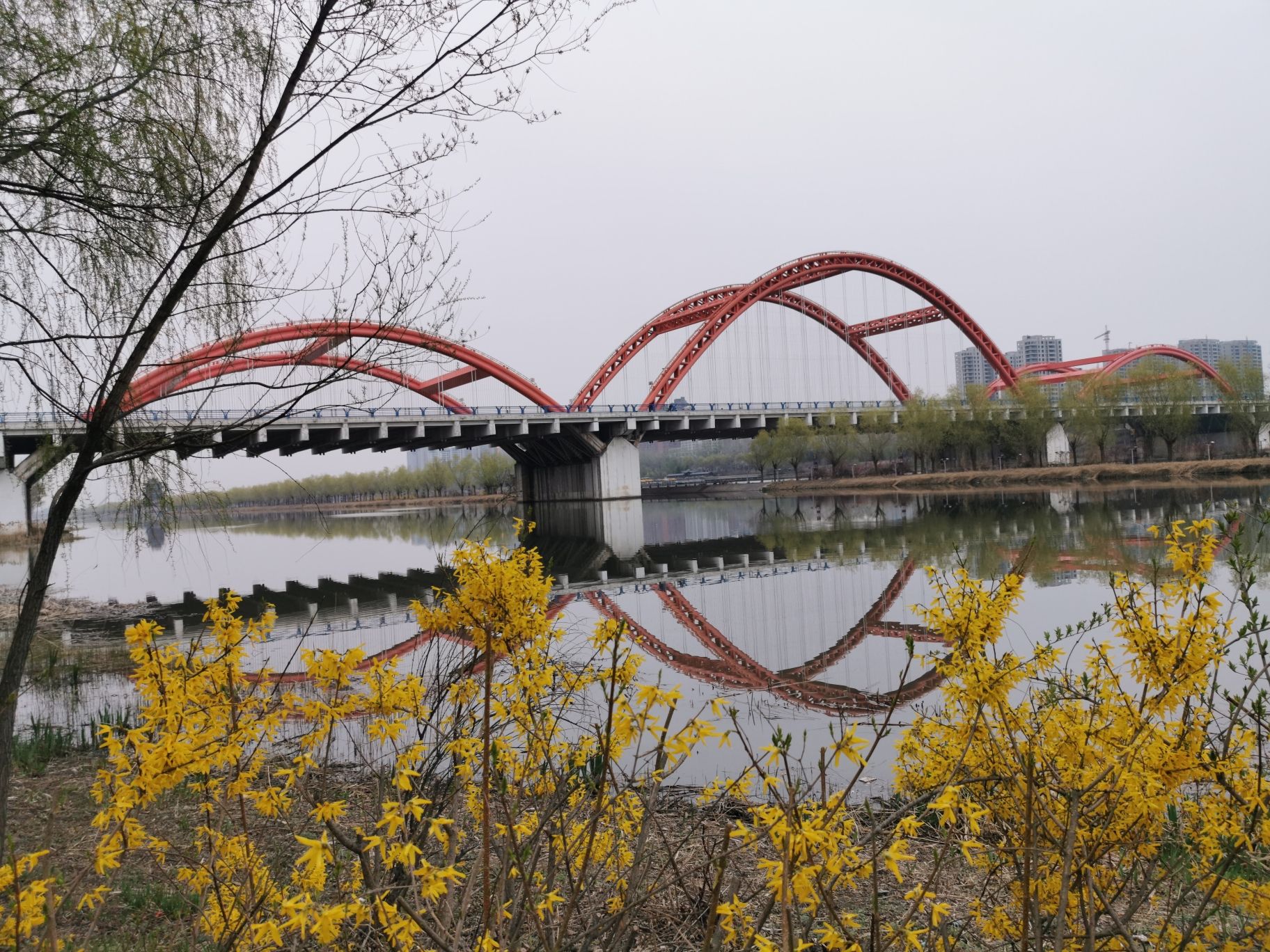 汾河公园旅行图片