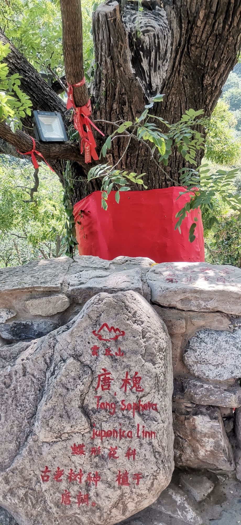 云丘山景区