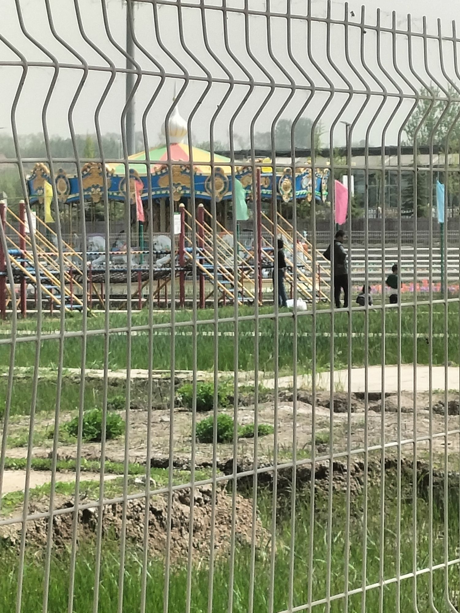 荷花小镇旅行图片