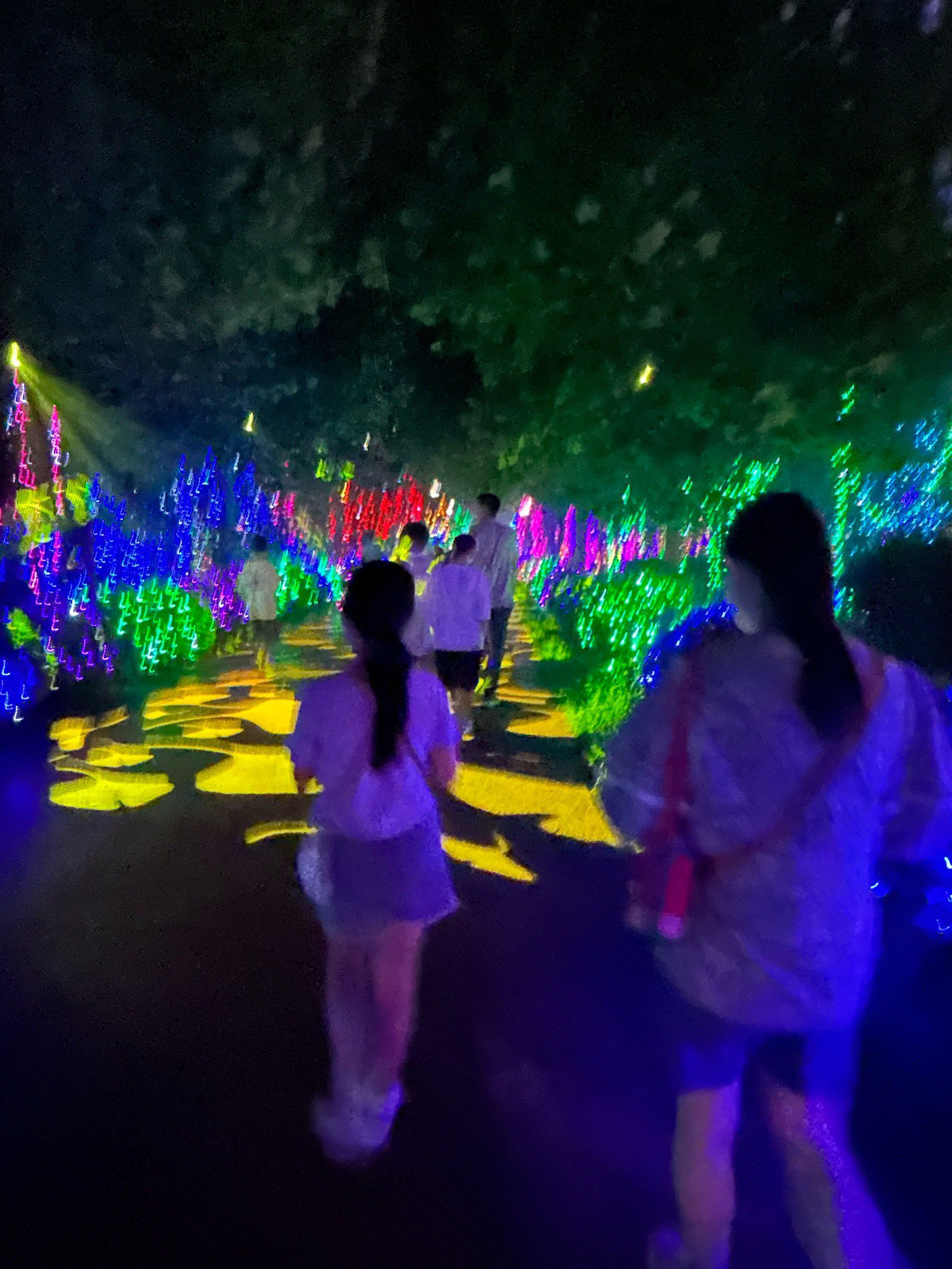 荷花小镇旅行图片