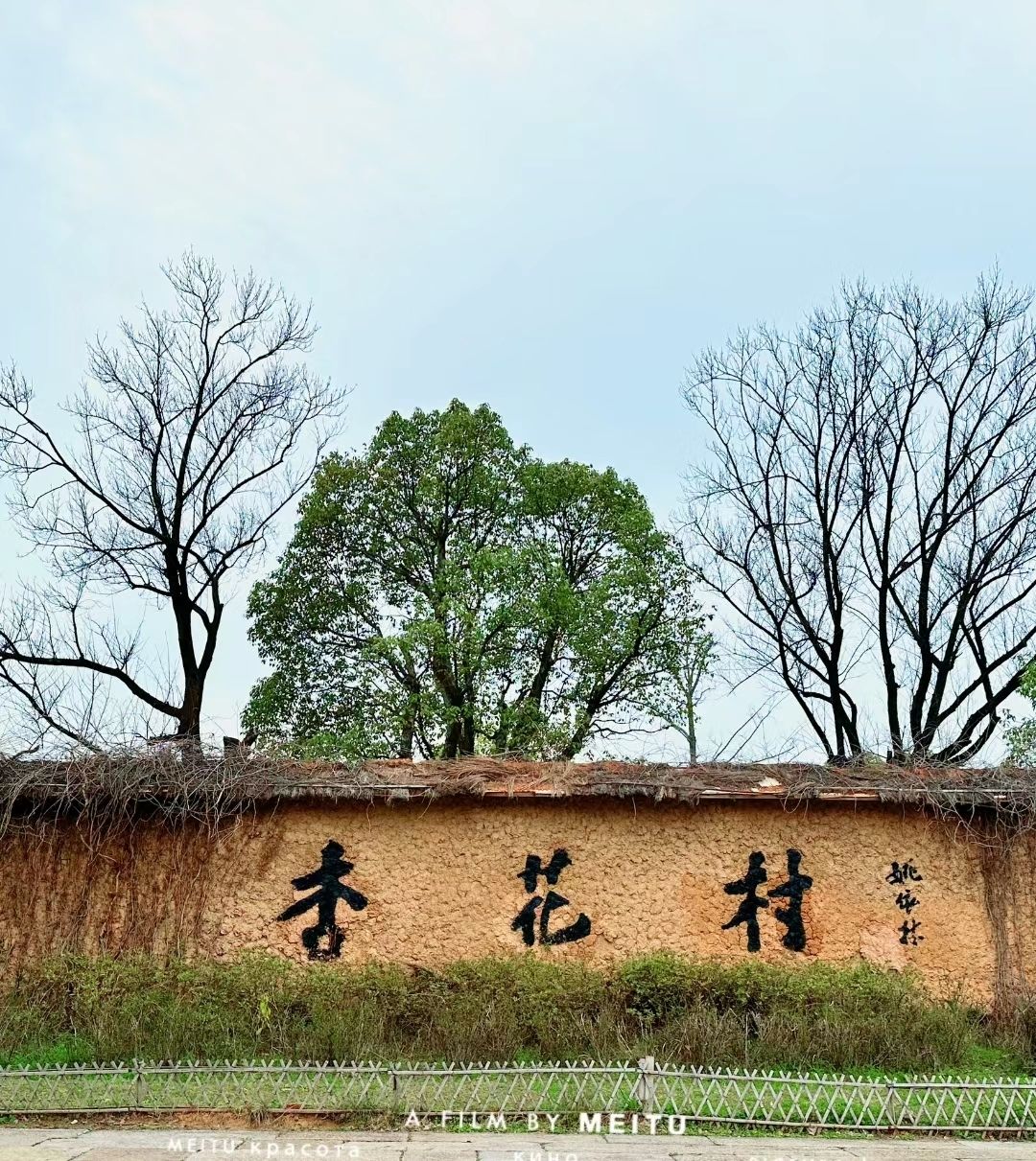 吕梁杏花村旅行图片