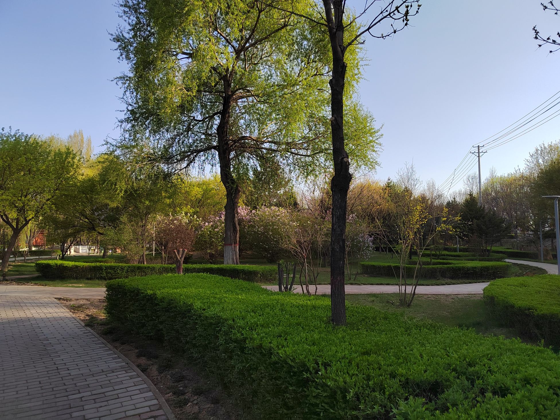 东河公园