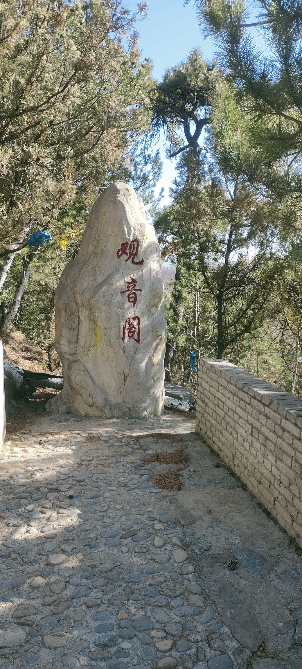 柏洼山风景区旅行图片