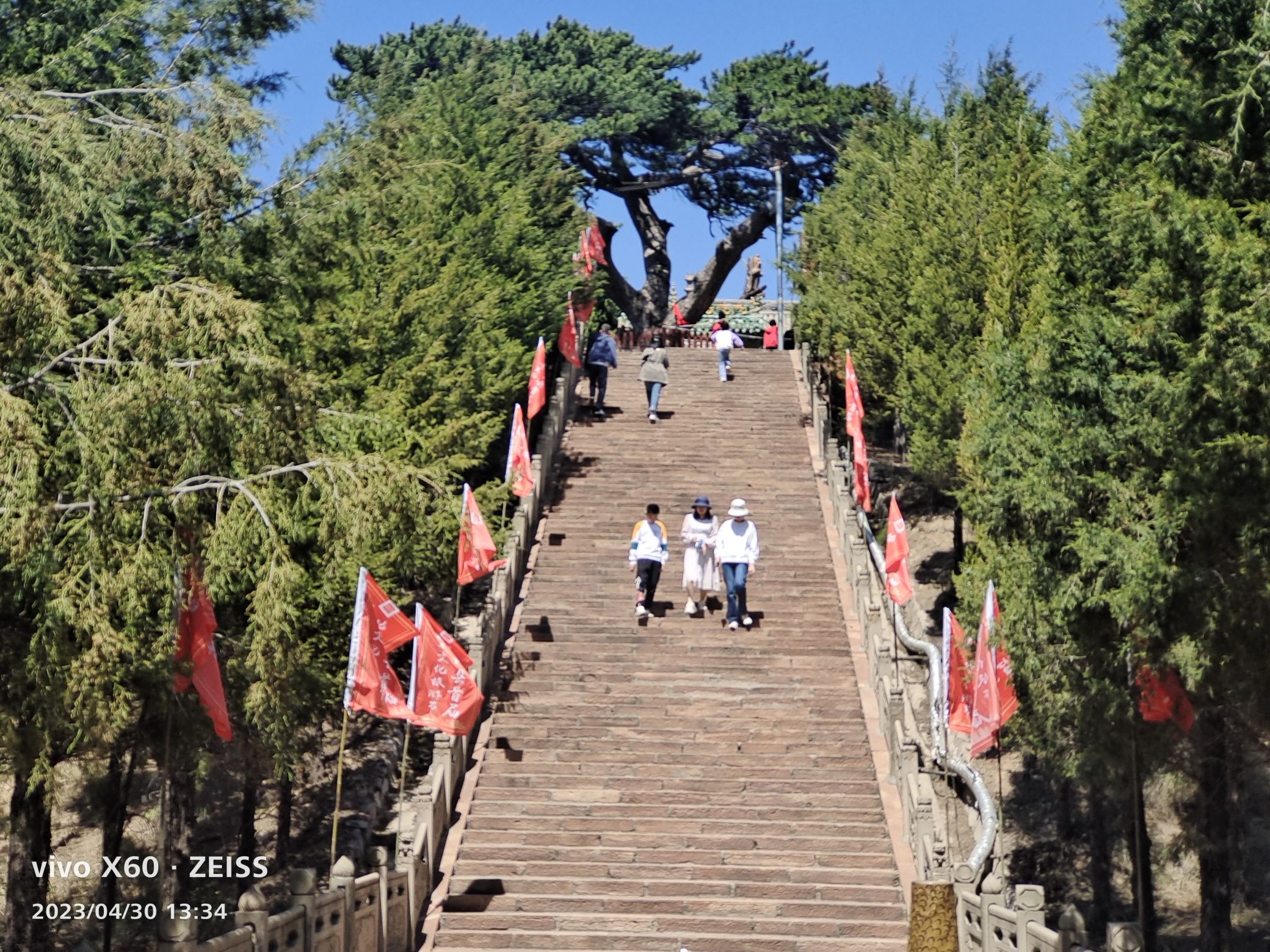 柏洼山风景区旅行图片