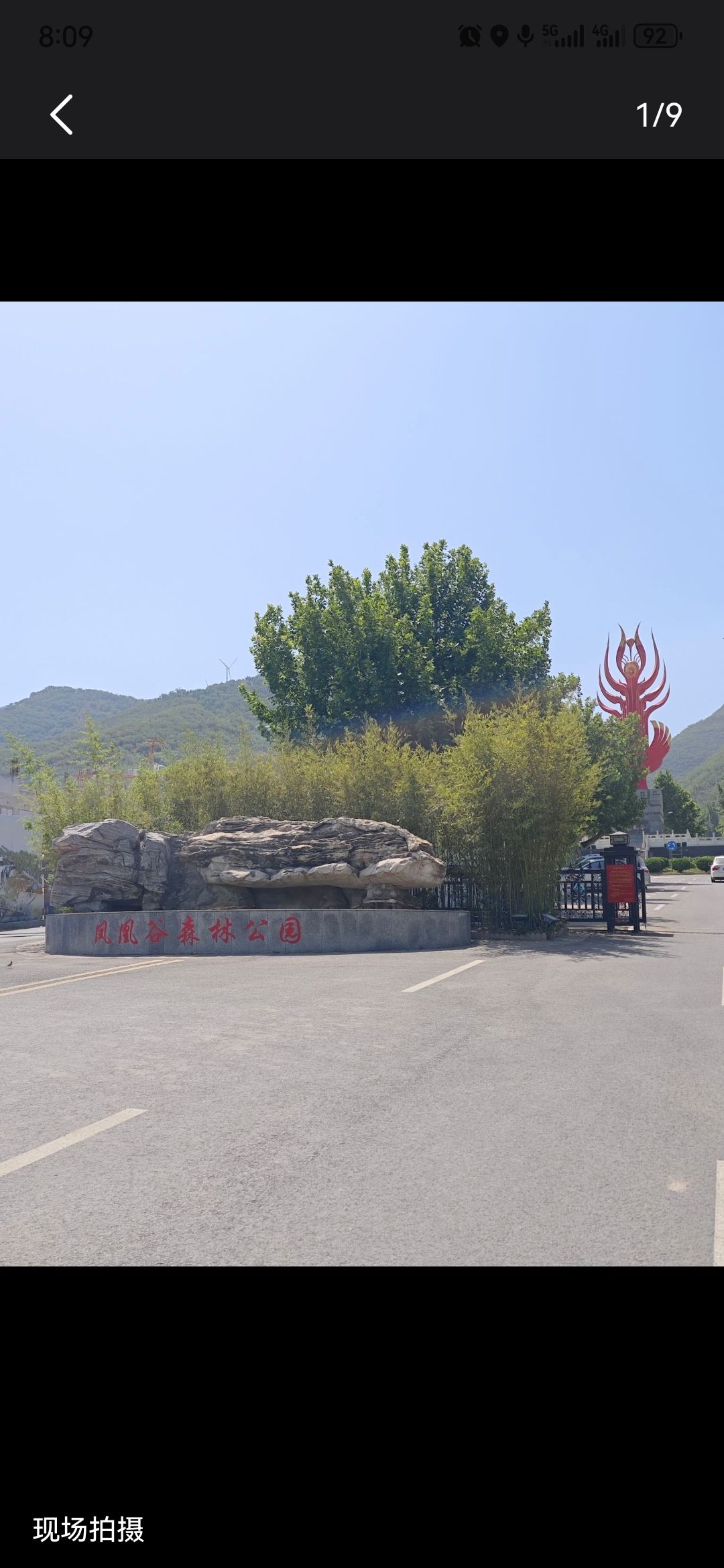 凤凰谷森林公园旅行图片
