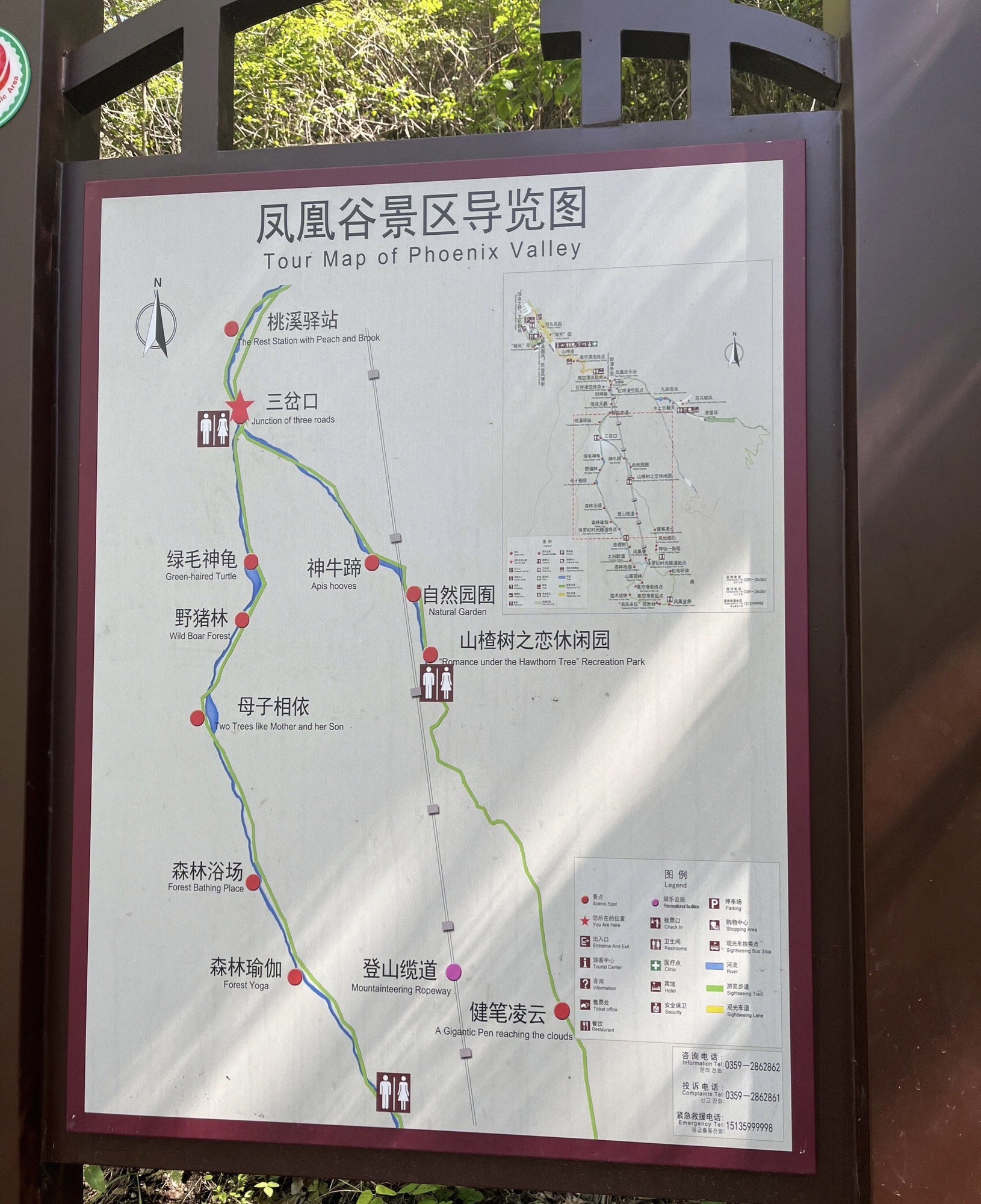 凤凰谷森林公园旅行图片