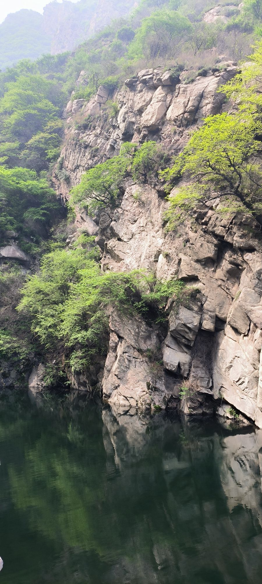 舜帝山森林公园