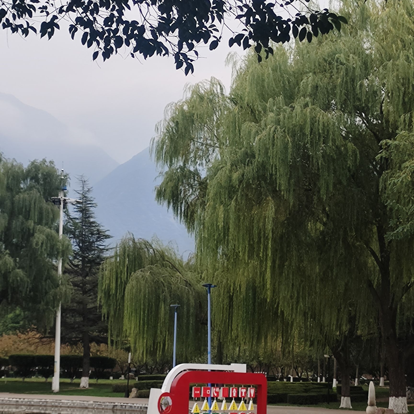 樱花园