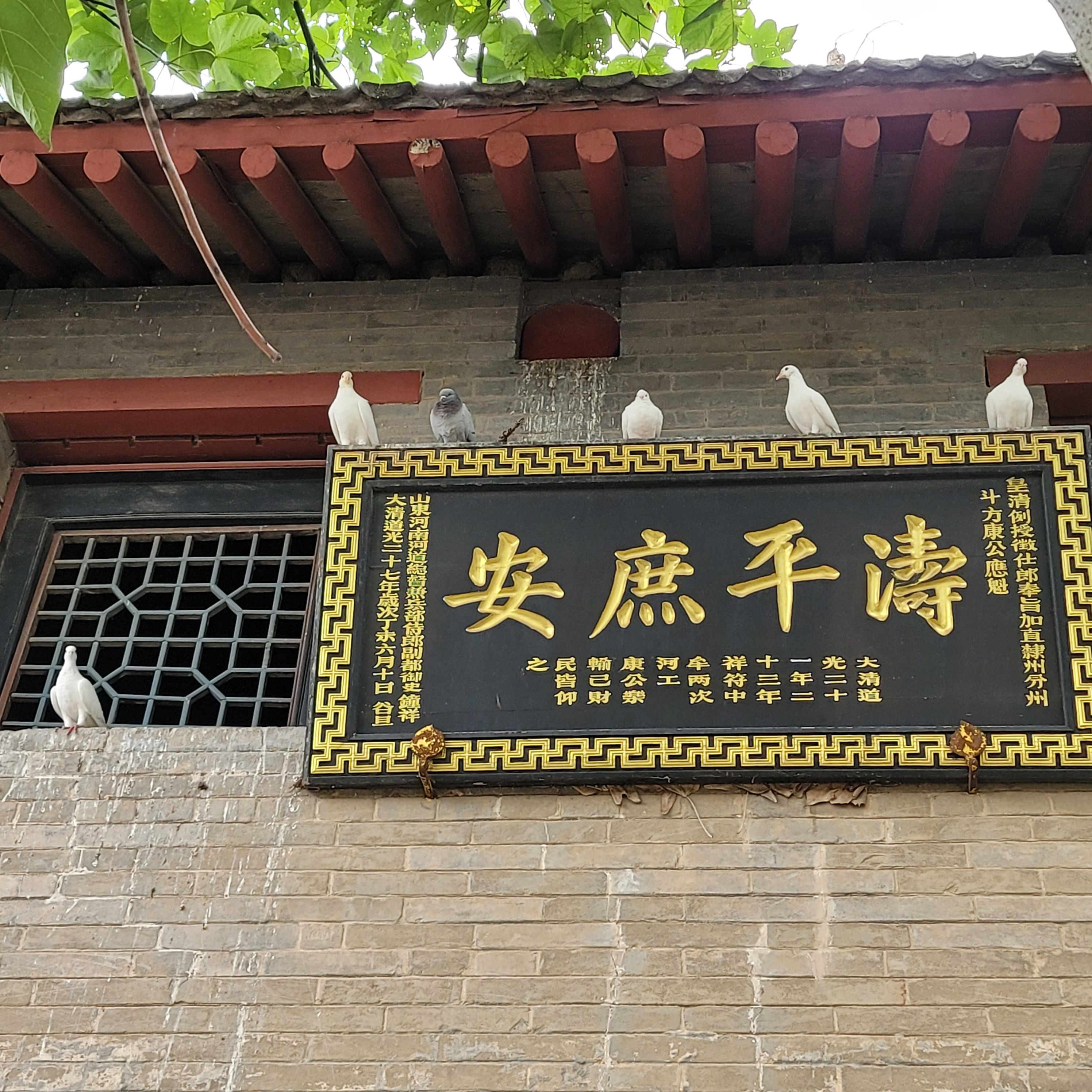 康百万庄园旅行图片