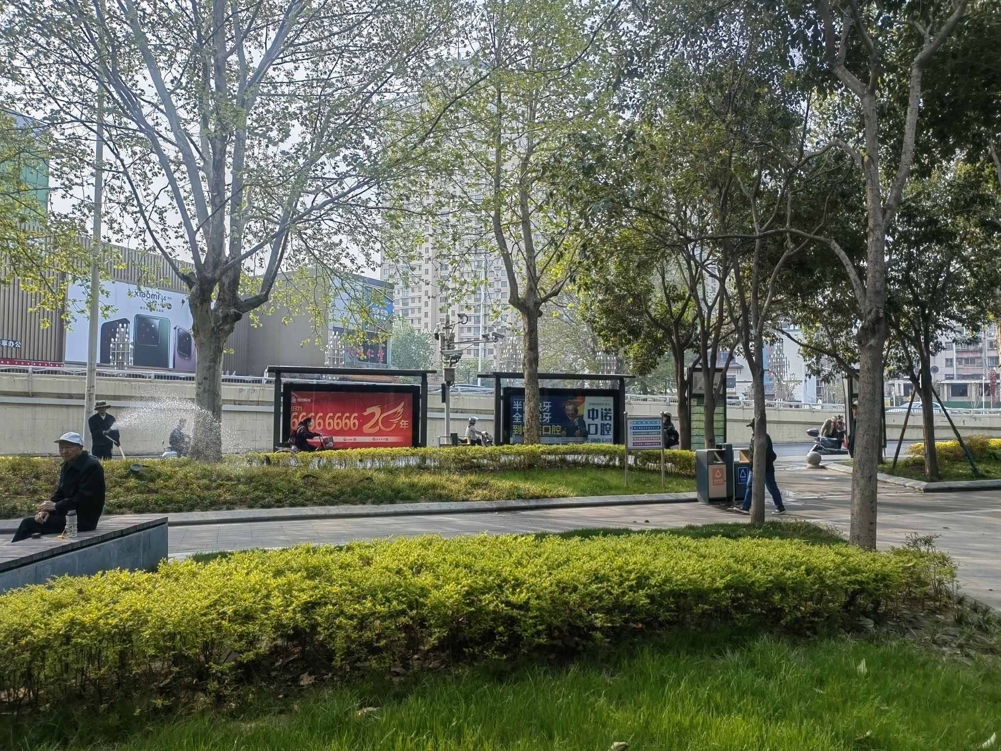 紫荆山公园旅行图片