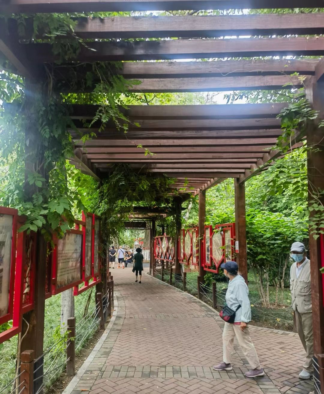 五一公园