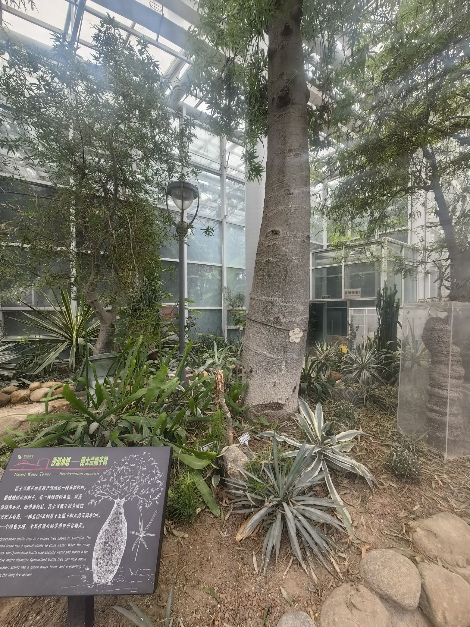 郑州植物园