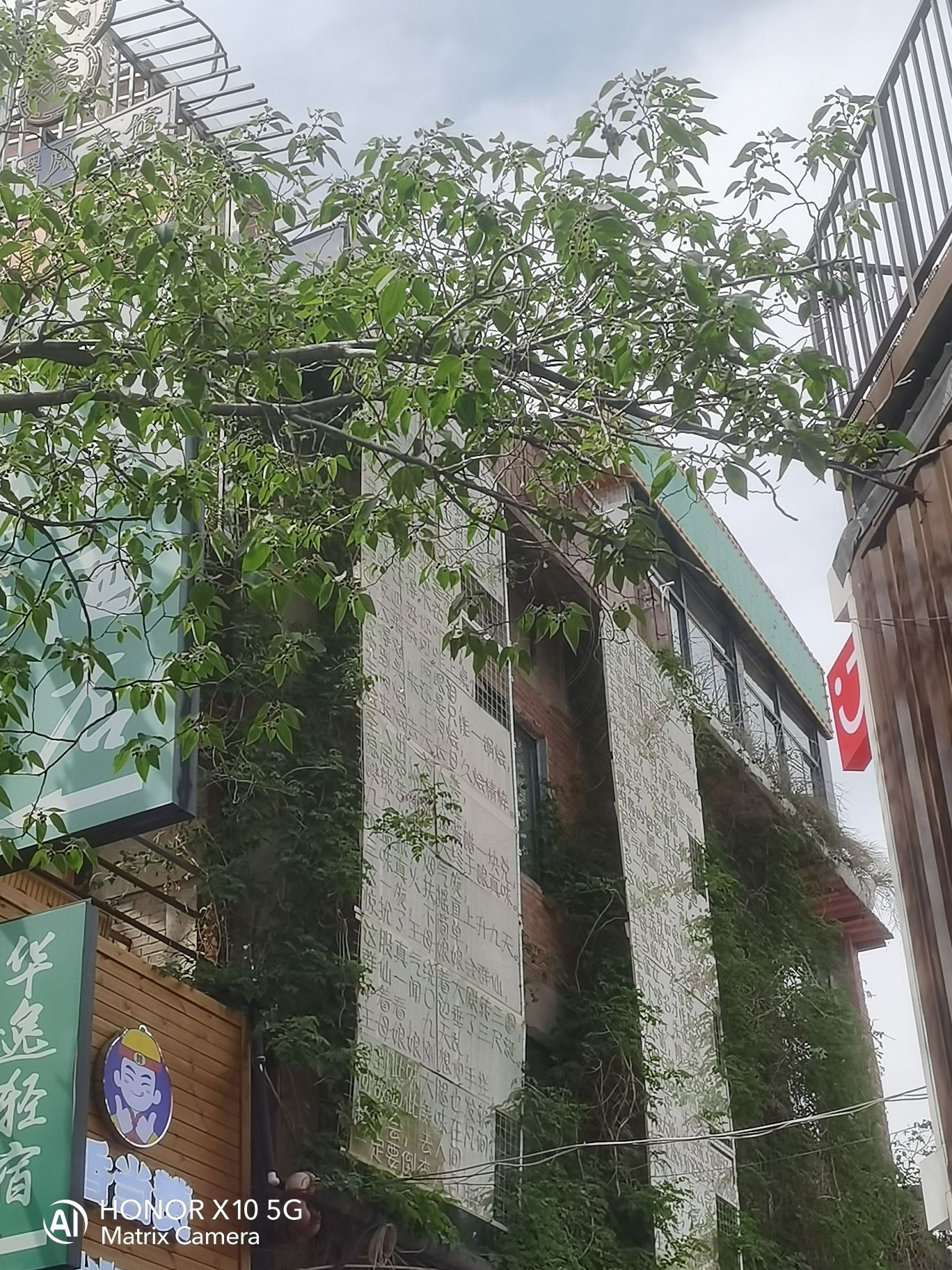 绿博园