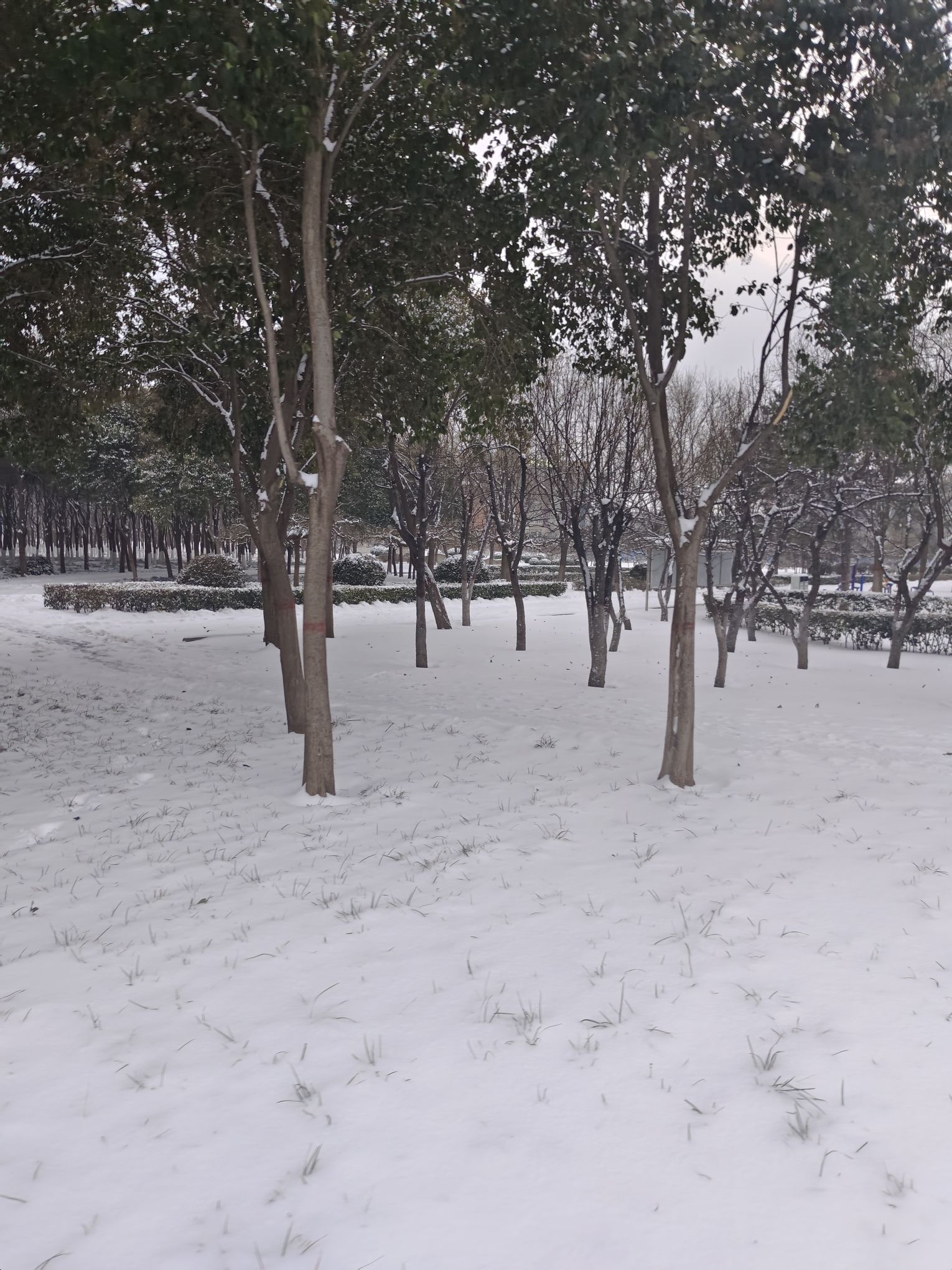 科学公园