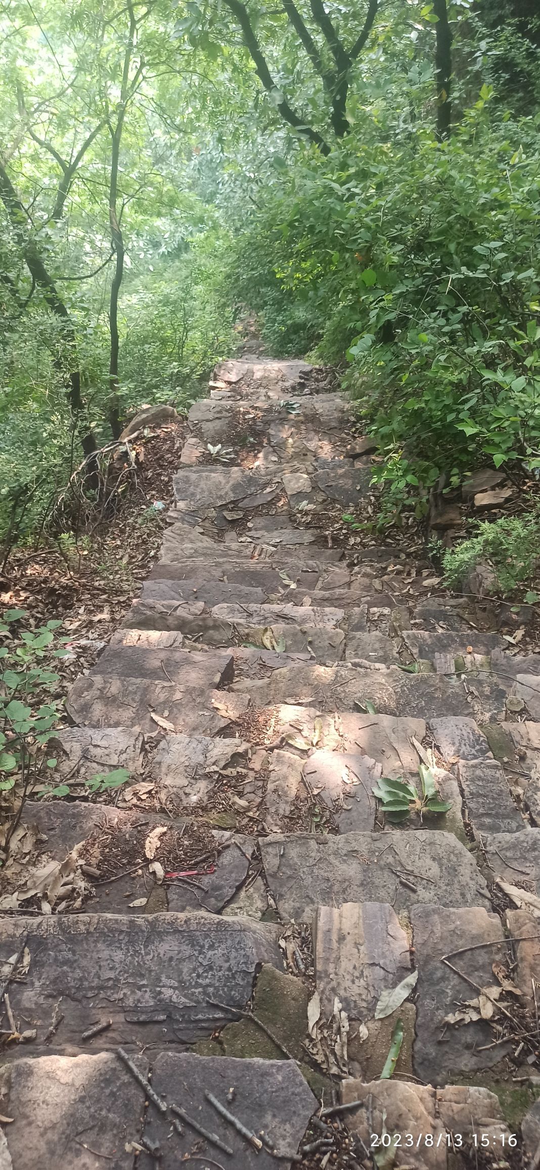 苍龙山风景区