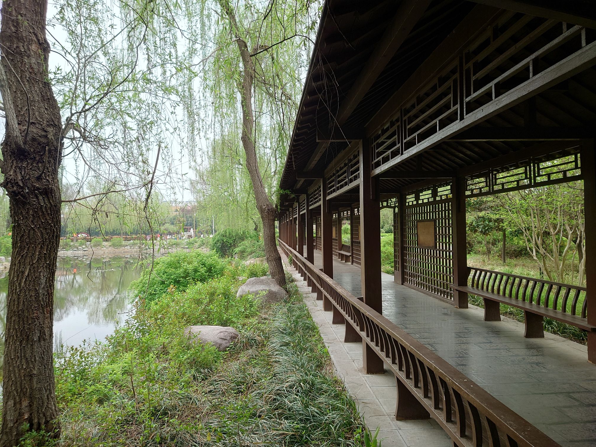 花博公园旅行图片