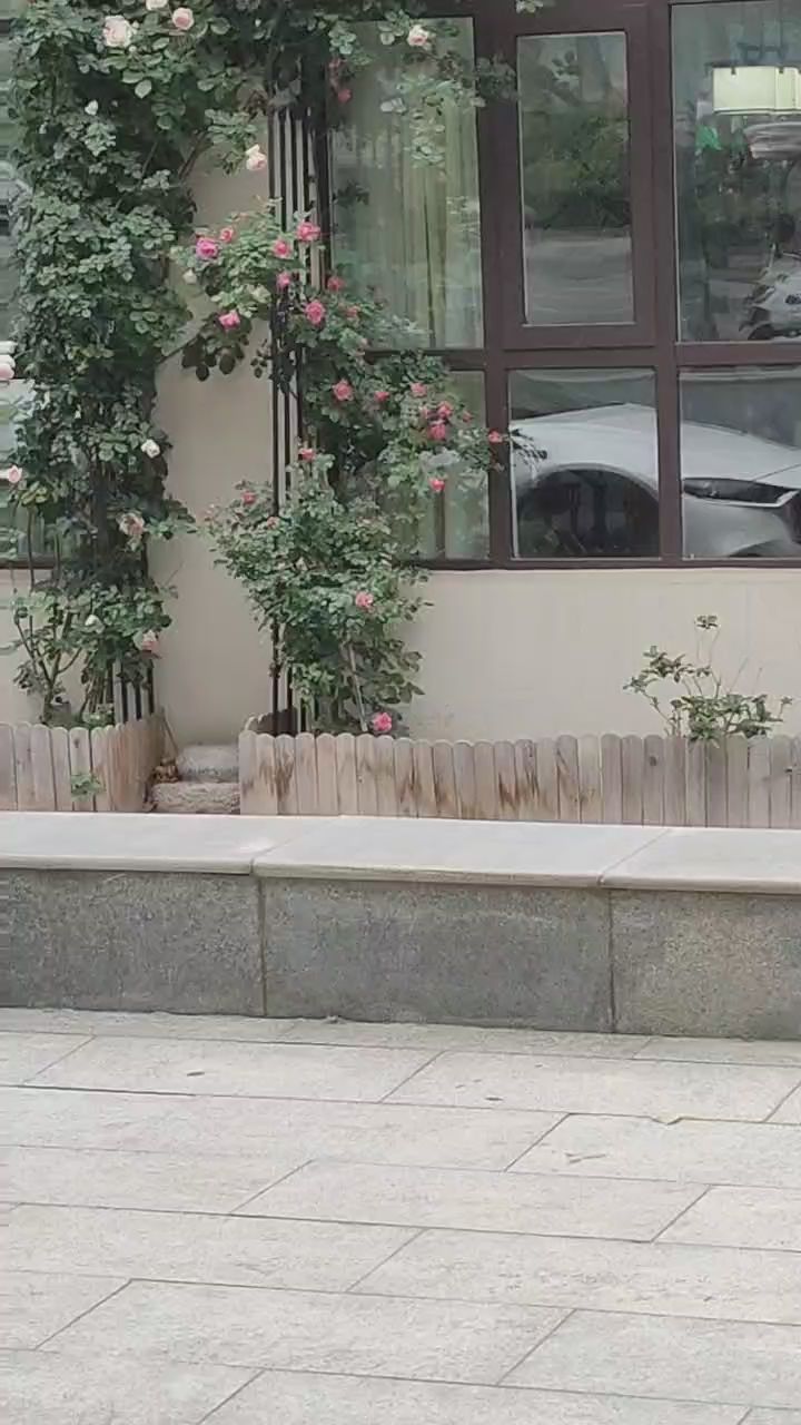 许都公园旅行图片