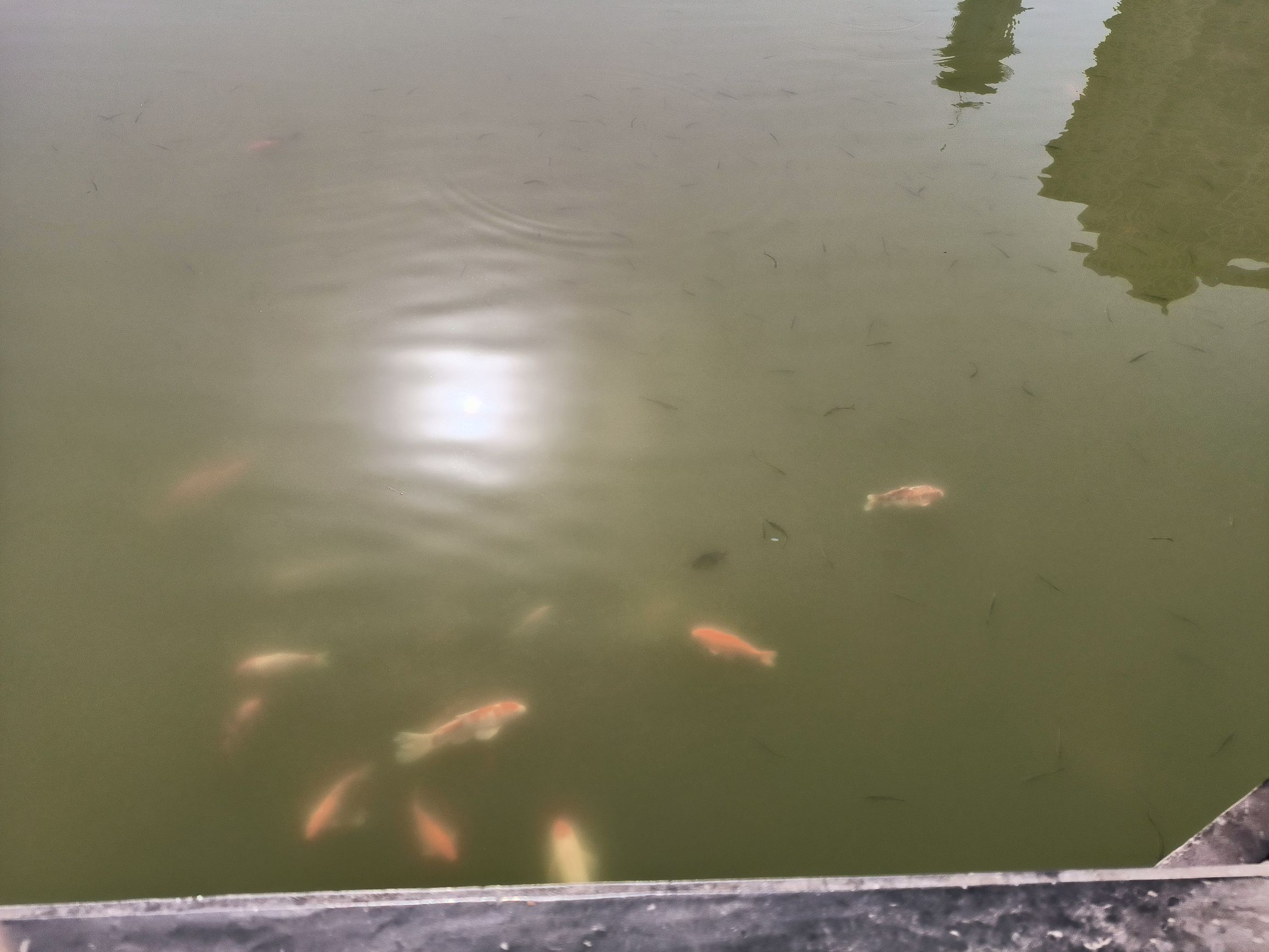 双龙湖旅行图片