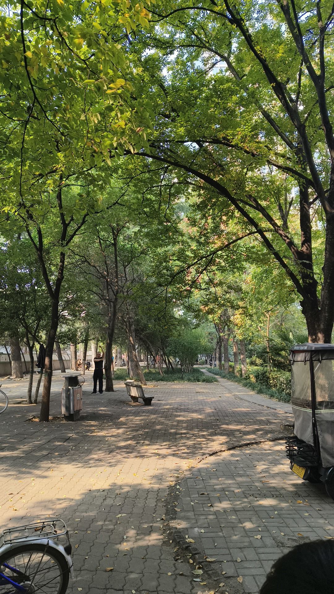 建西游园