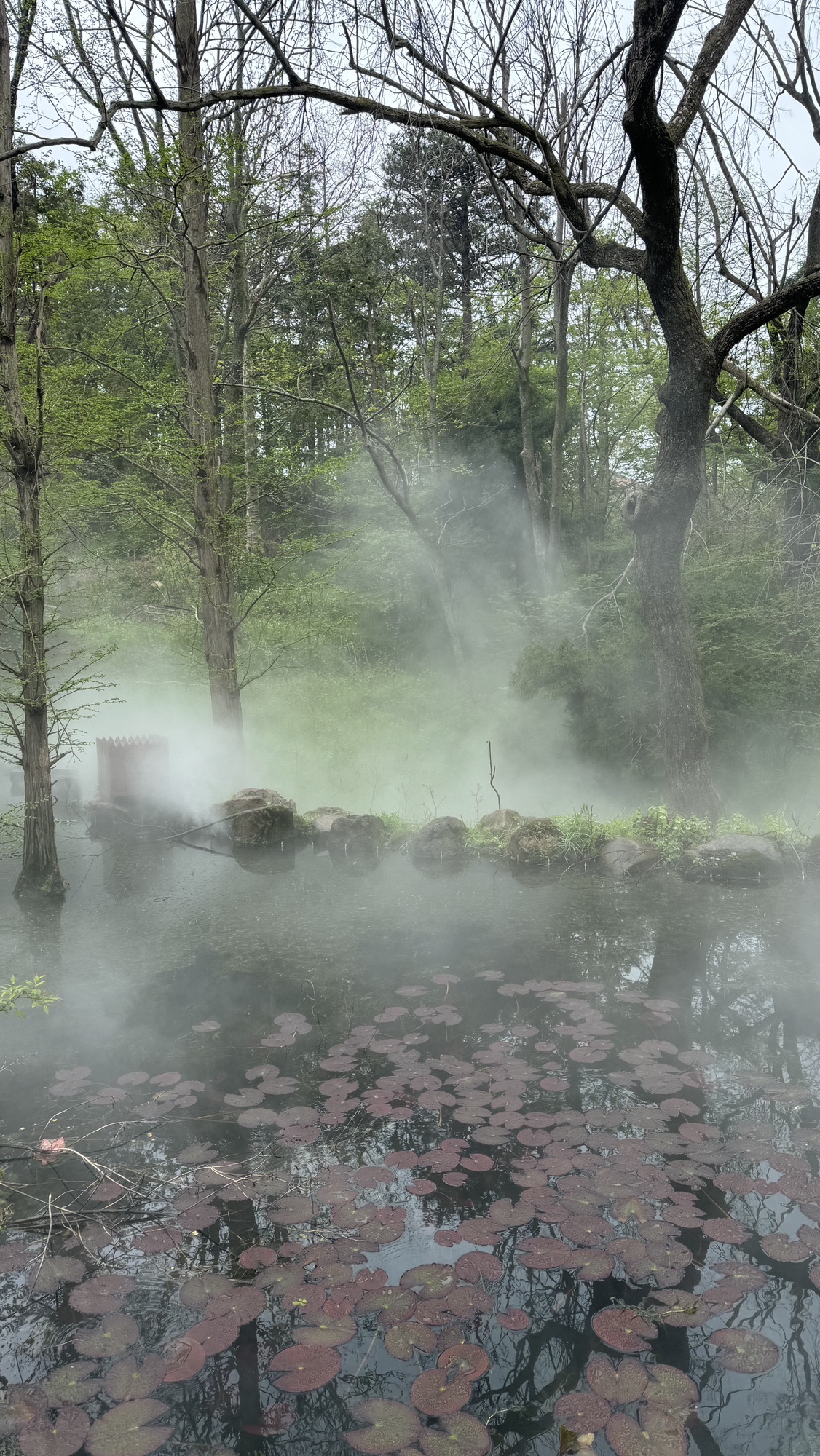 鸡公山风景区