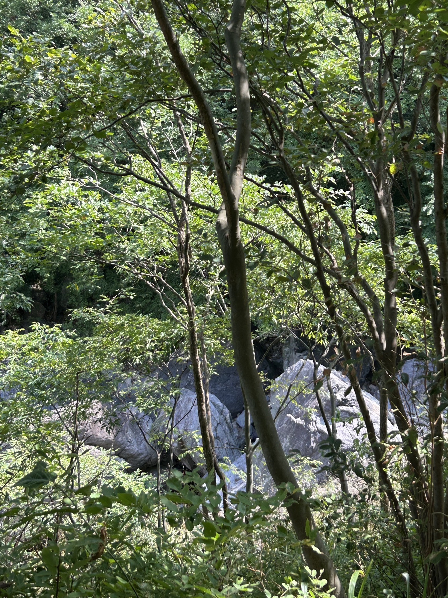 金刚台猫儿峰旅游区