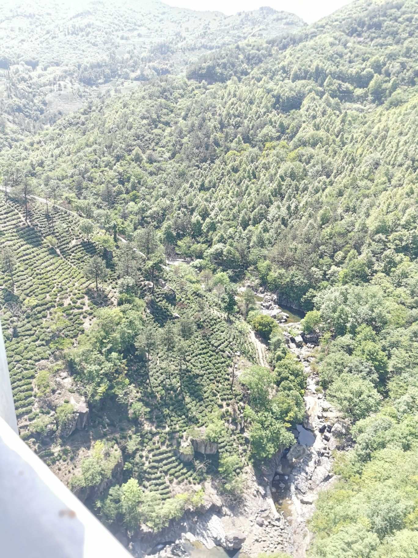 金刚台猫儿峰旅游区旅行图片