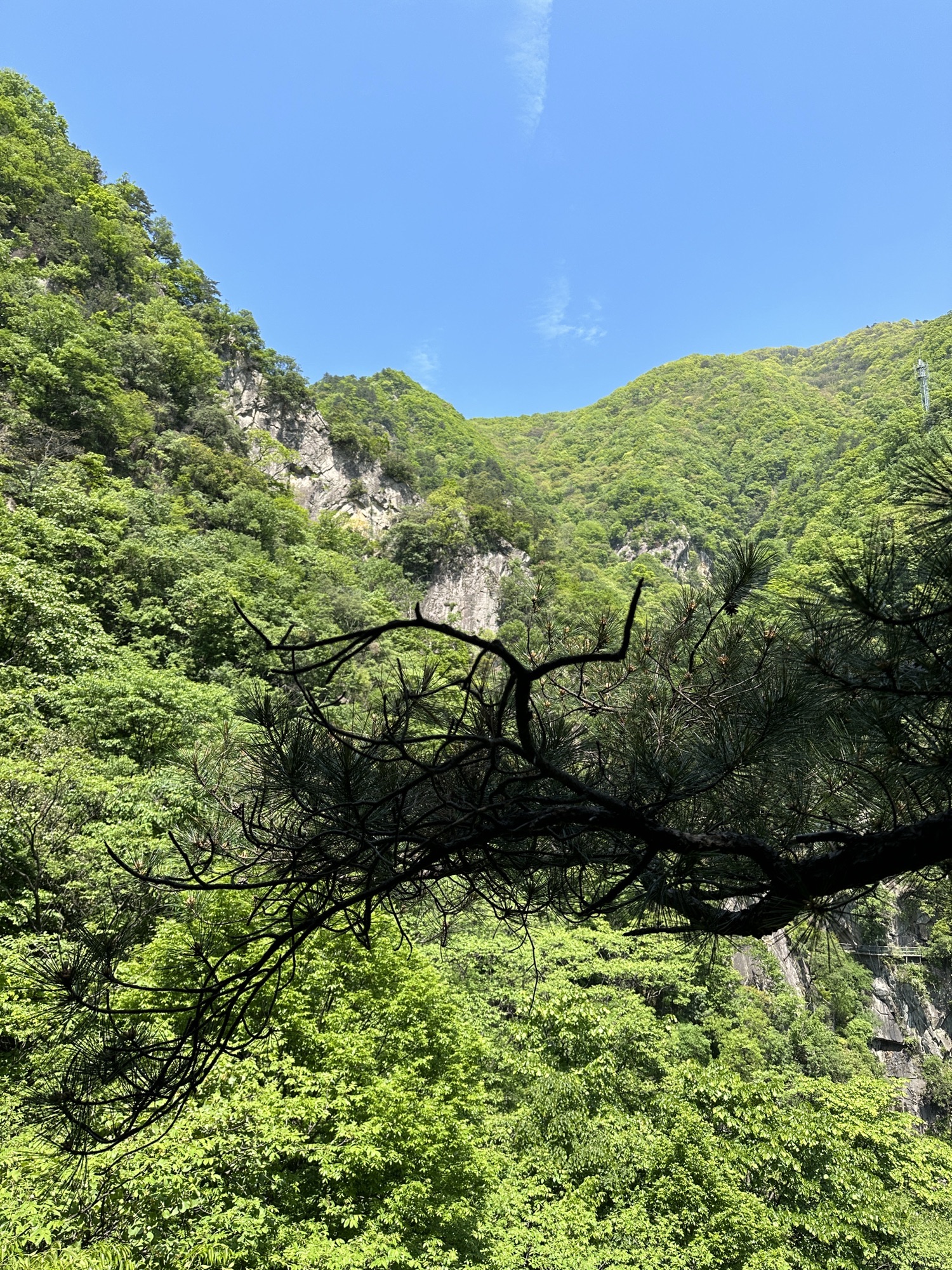 老君洞旅游度假区