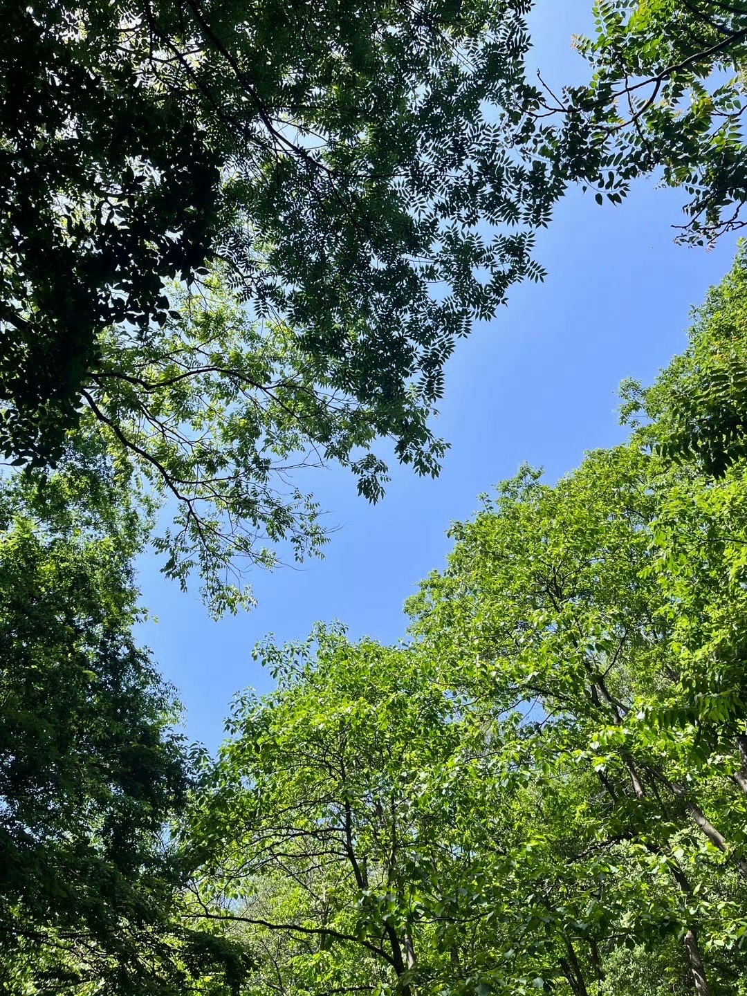 桐柏山淮源风景名胜区旅行图片