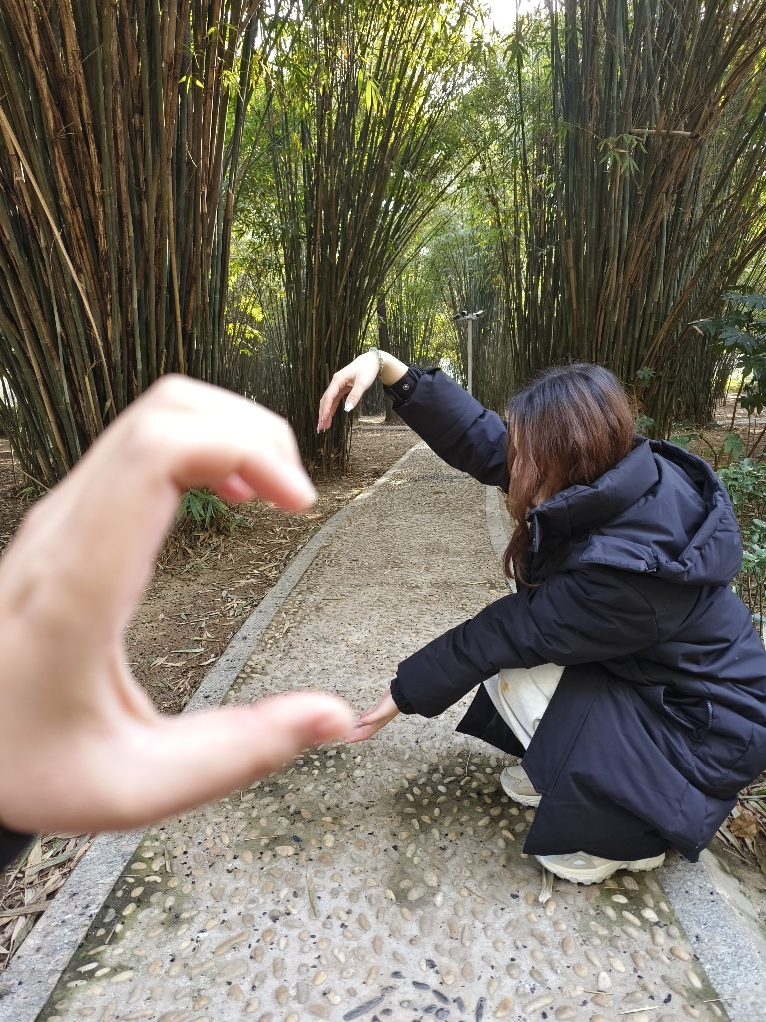 邓州市人民公园