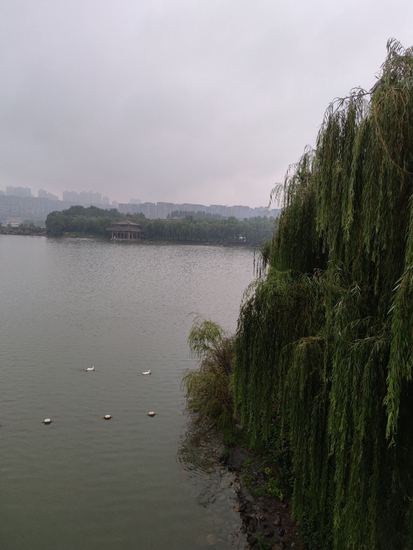 大曼山景区