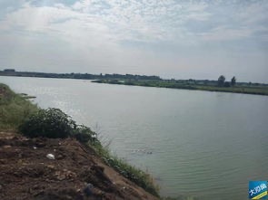 白河国家城市湿地公园旅行图片