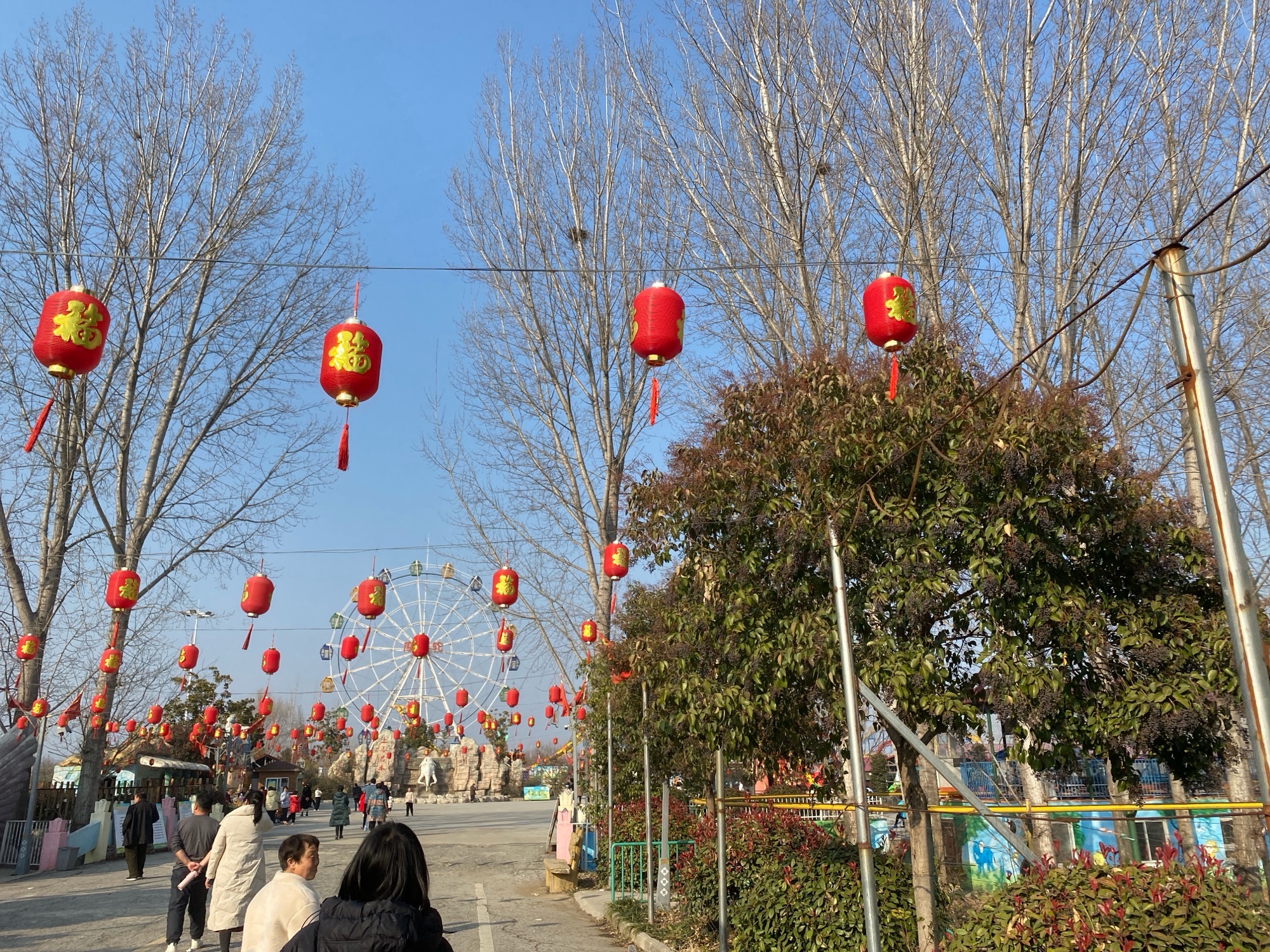 中国·卧龙蒙古风情园旅行图片