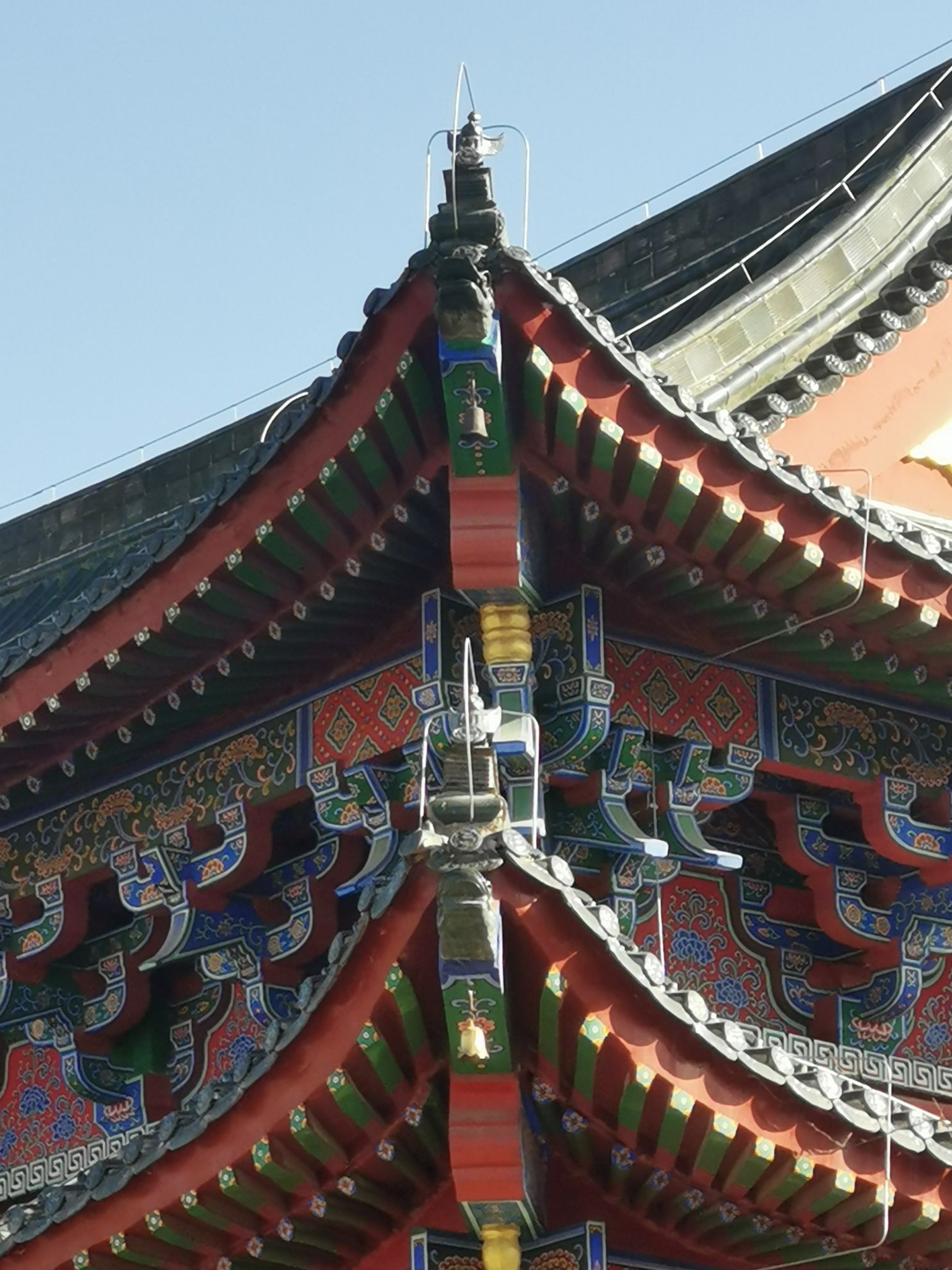 开封国家森林公园旅行图片
