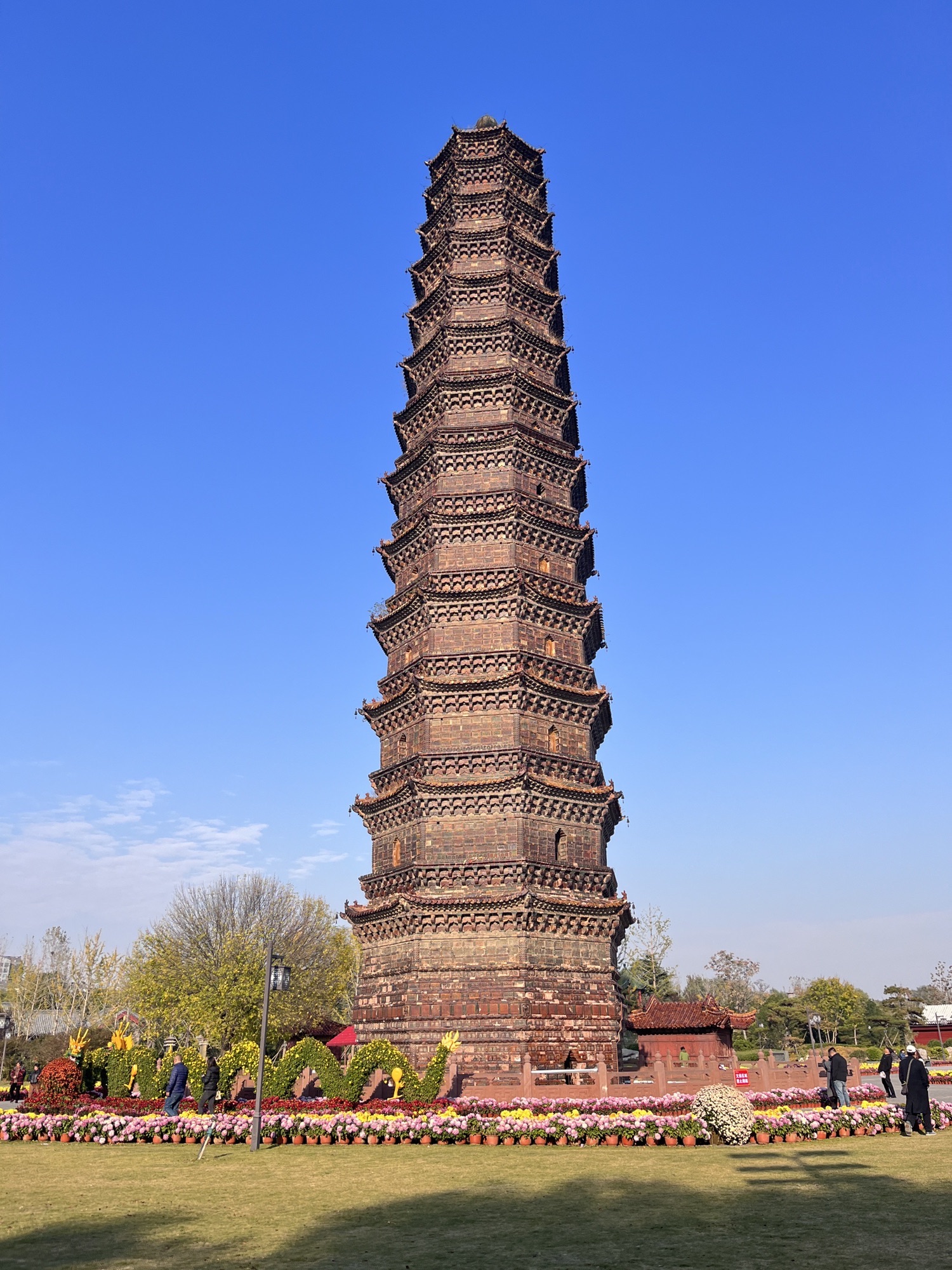 开封国家森林公园旅行图片